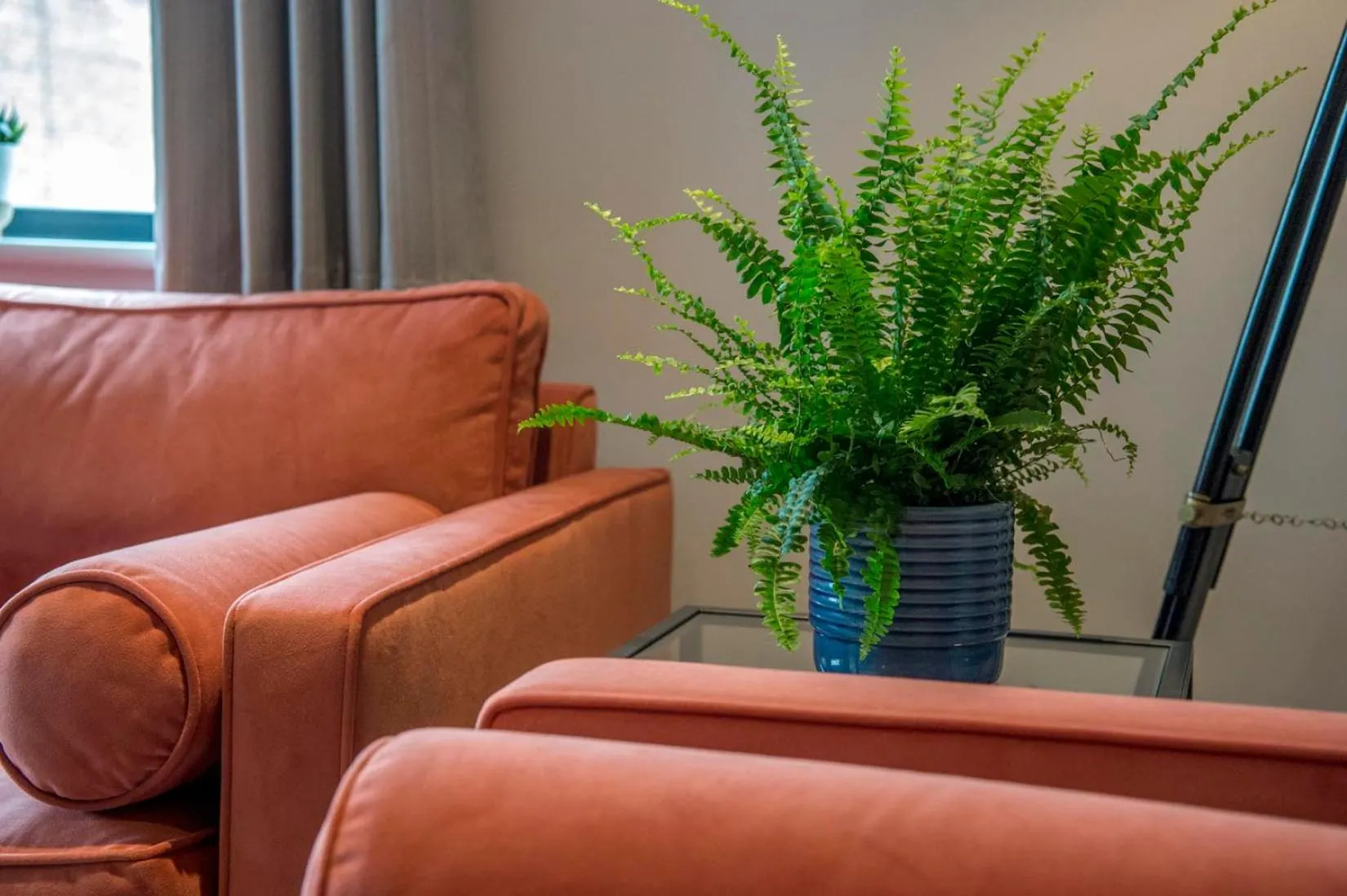 Other in The Quadrant - The Botanical Suite