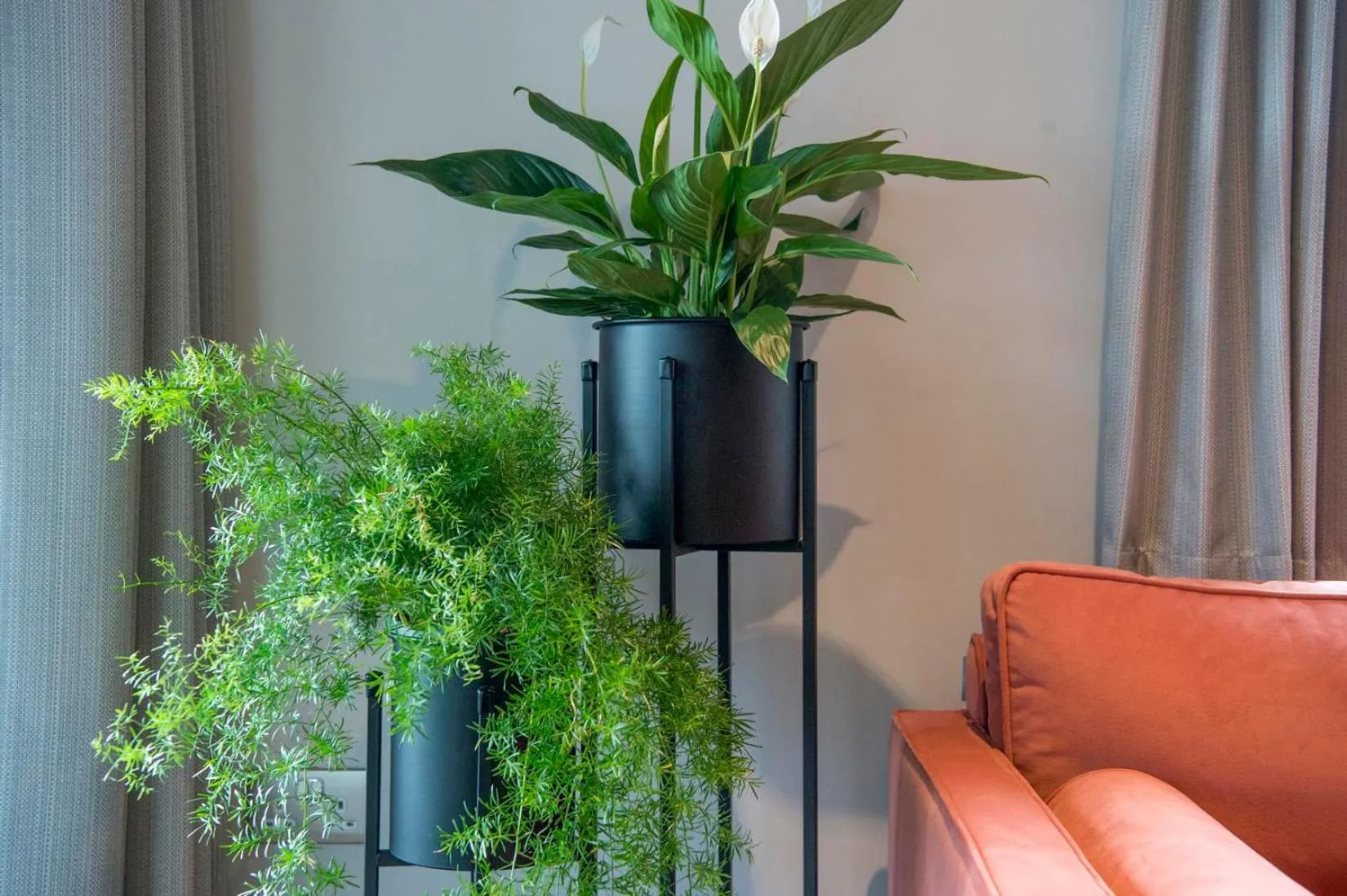 Other in The Quadrant - The Botanical Suite