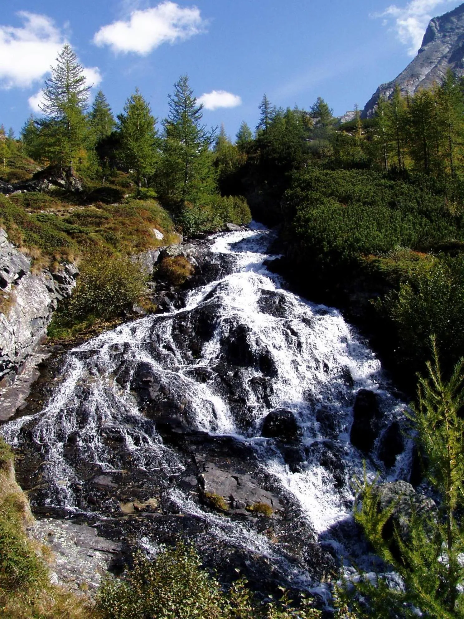 Autumn in Apartments Hohenberger Mallnitz - Mein Platz in den Bergen!