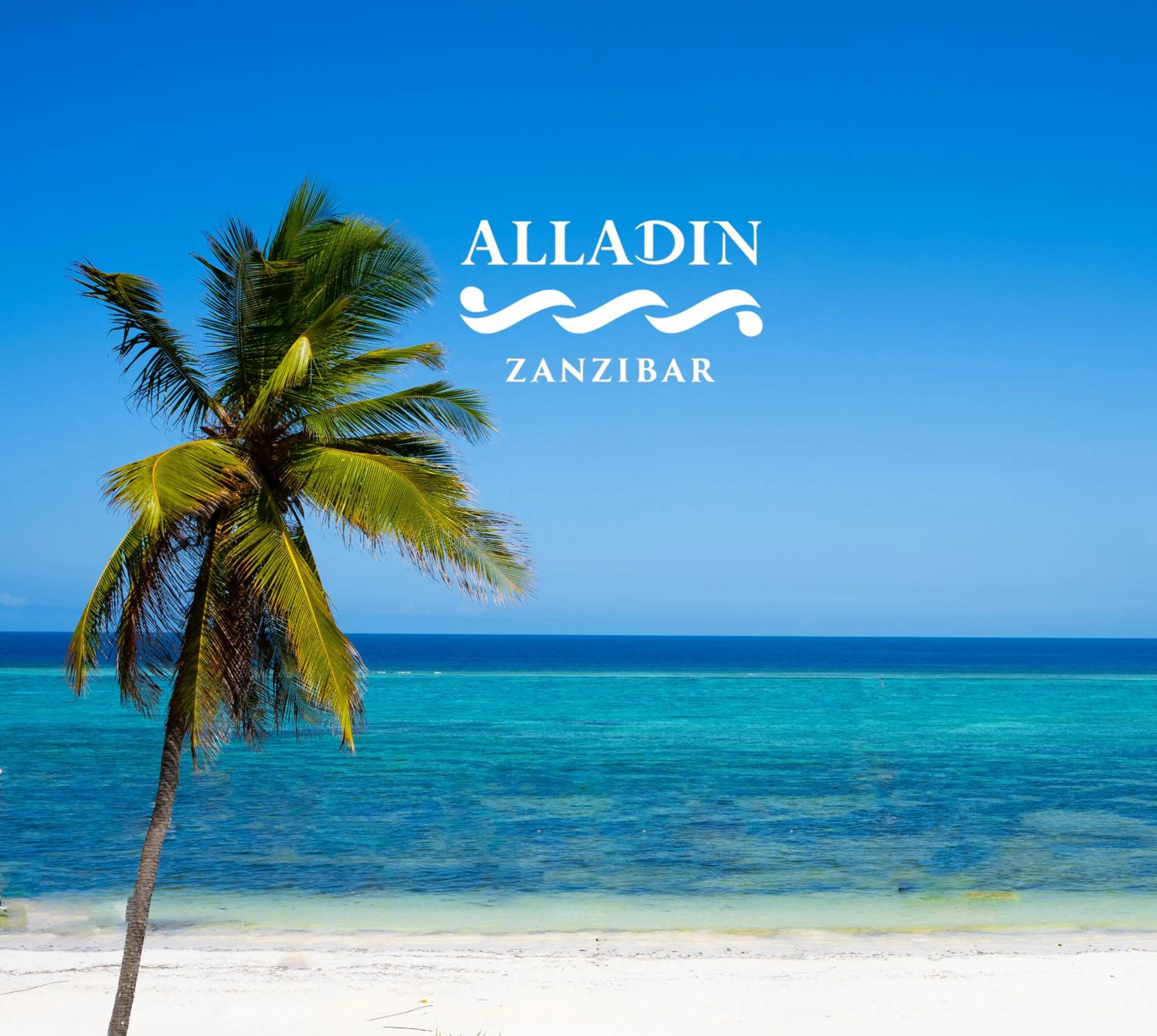 Beach in Alladin Boutique Beach Hotel and SPA Zanzibar