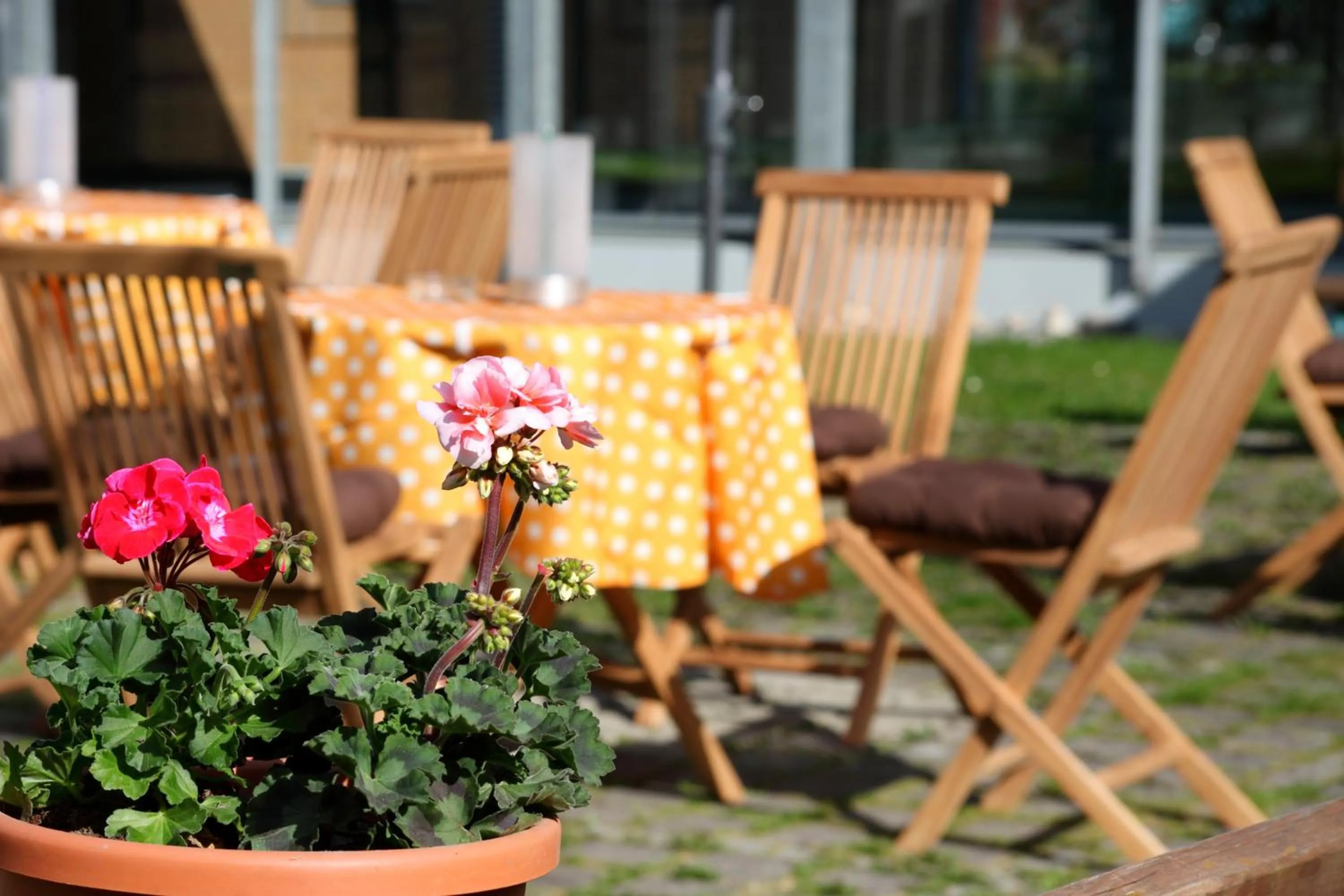 Patio in VCH Hotel Greifswald