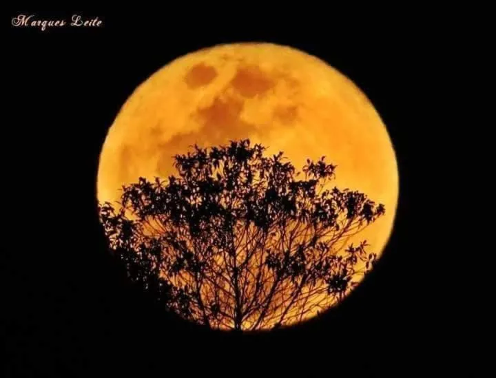 Night in Pousada Rosa Mistica