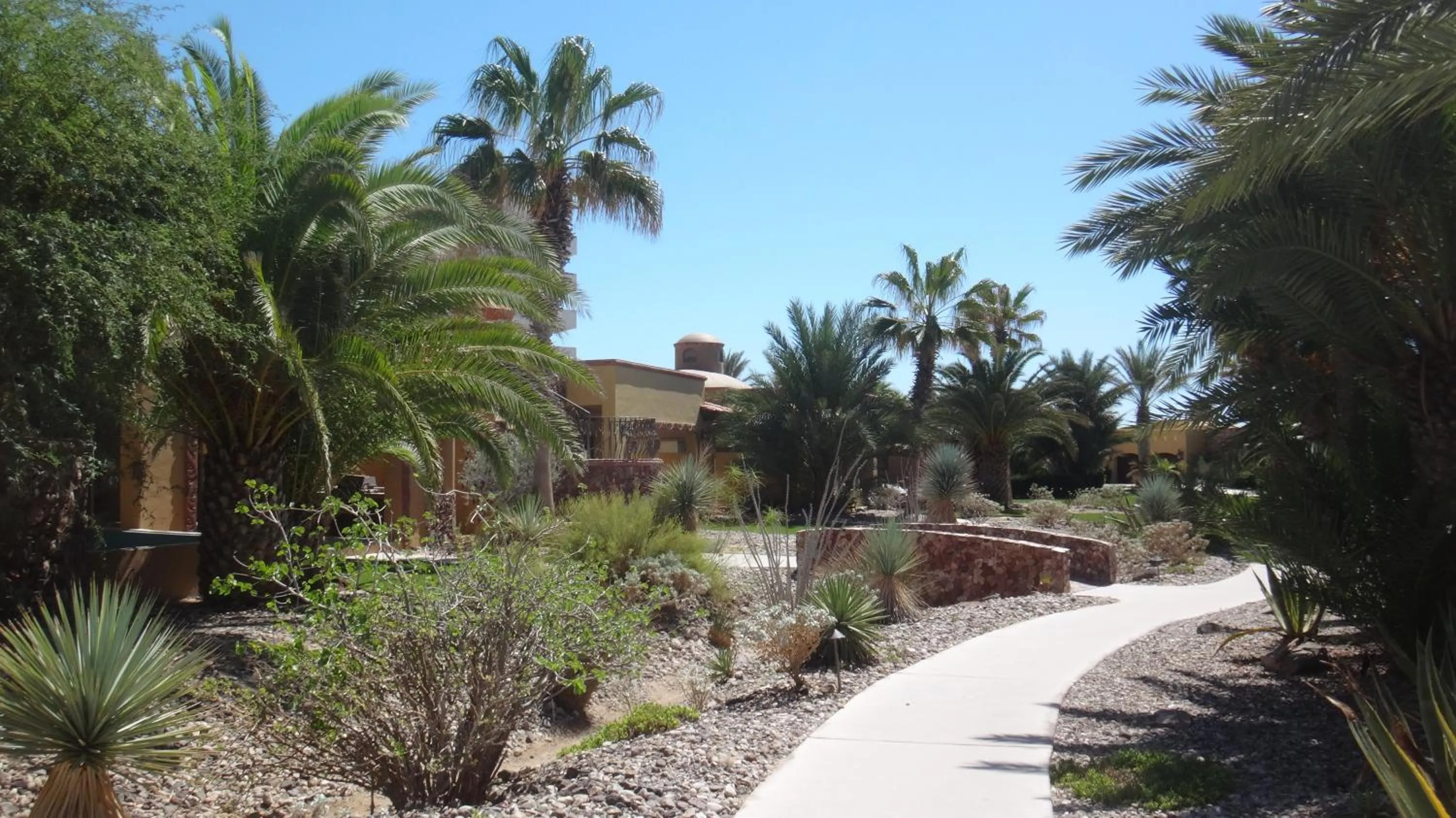 Property building in Bella Sirena Luxury Resort 205-D