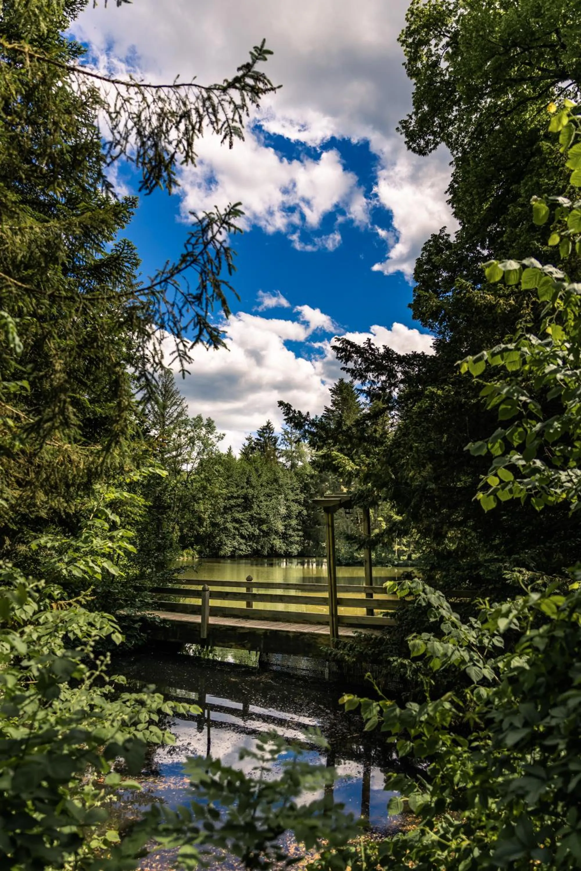 Garden in Hotel Dammenmühle