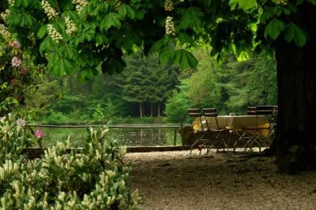Property building in Hotel Dammenmühle