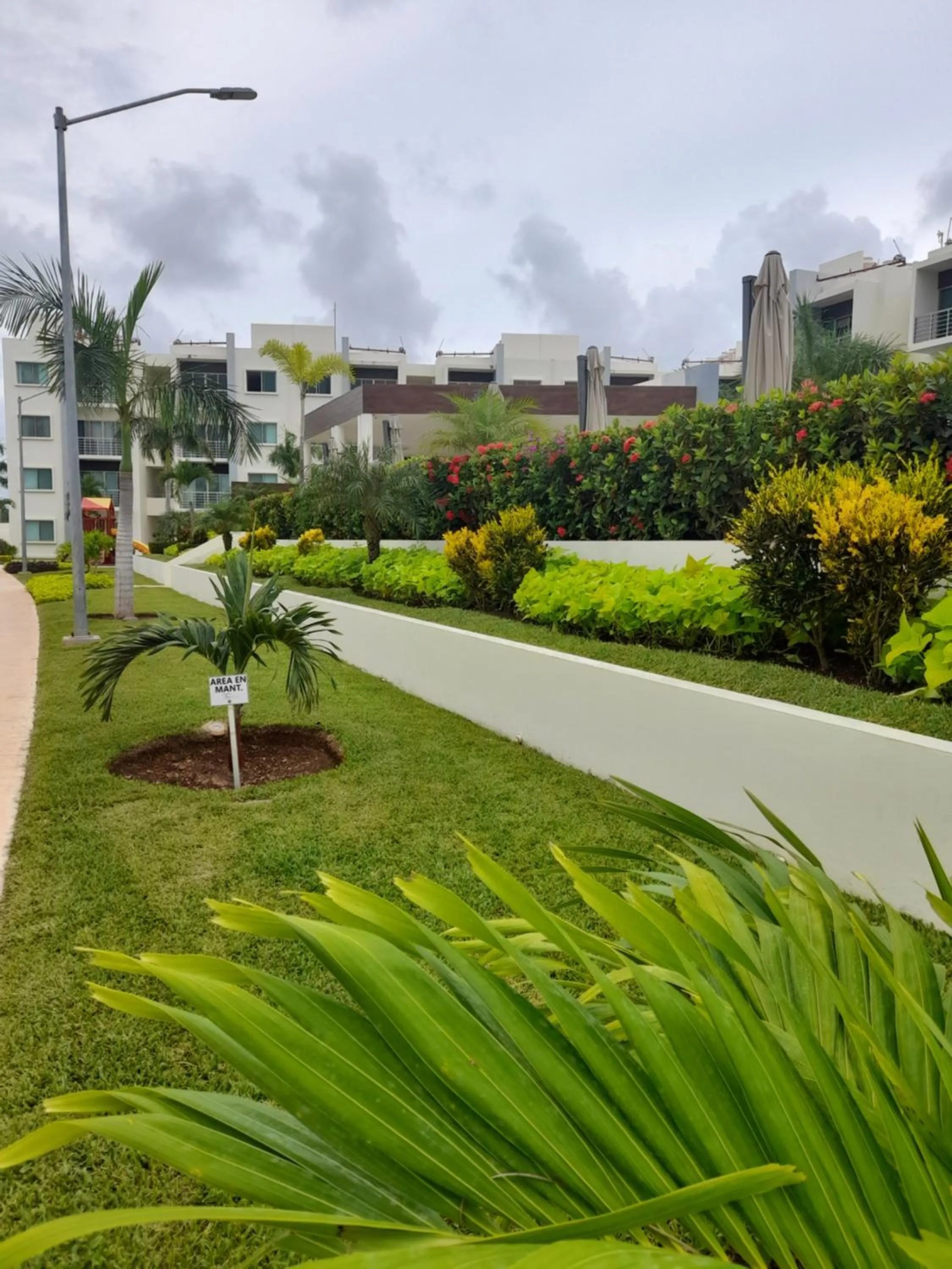 Garden in Gorgeous Apartment HOEStel Long Island!