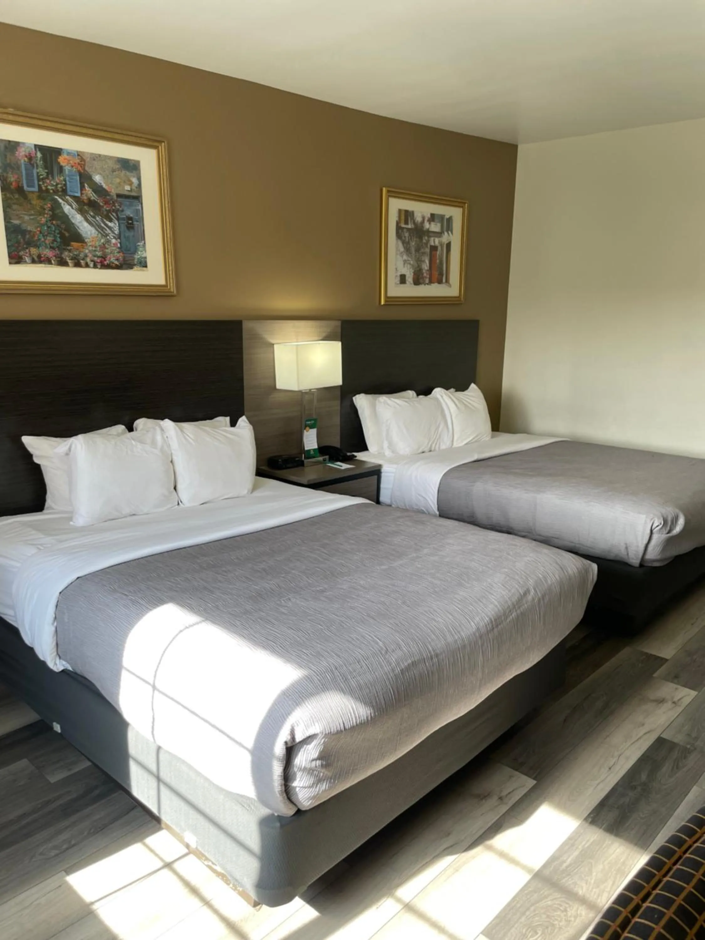 Bedroom, Bed in Quality Inn & Suites Goodyear - Phoenix West