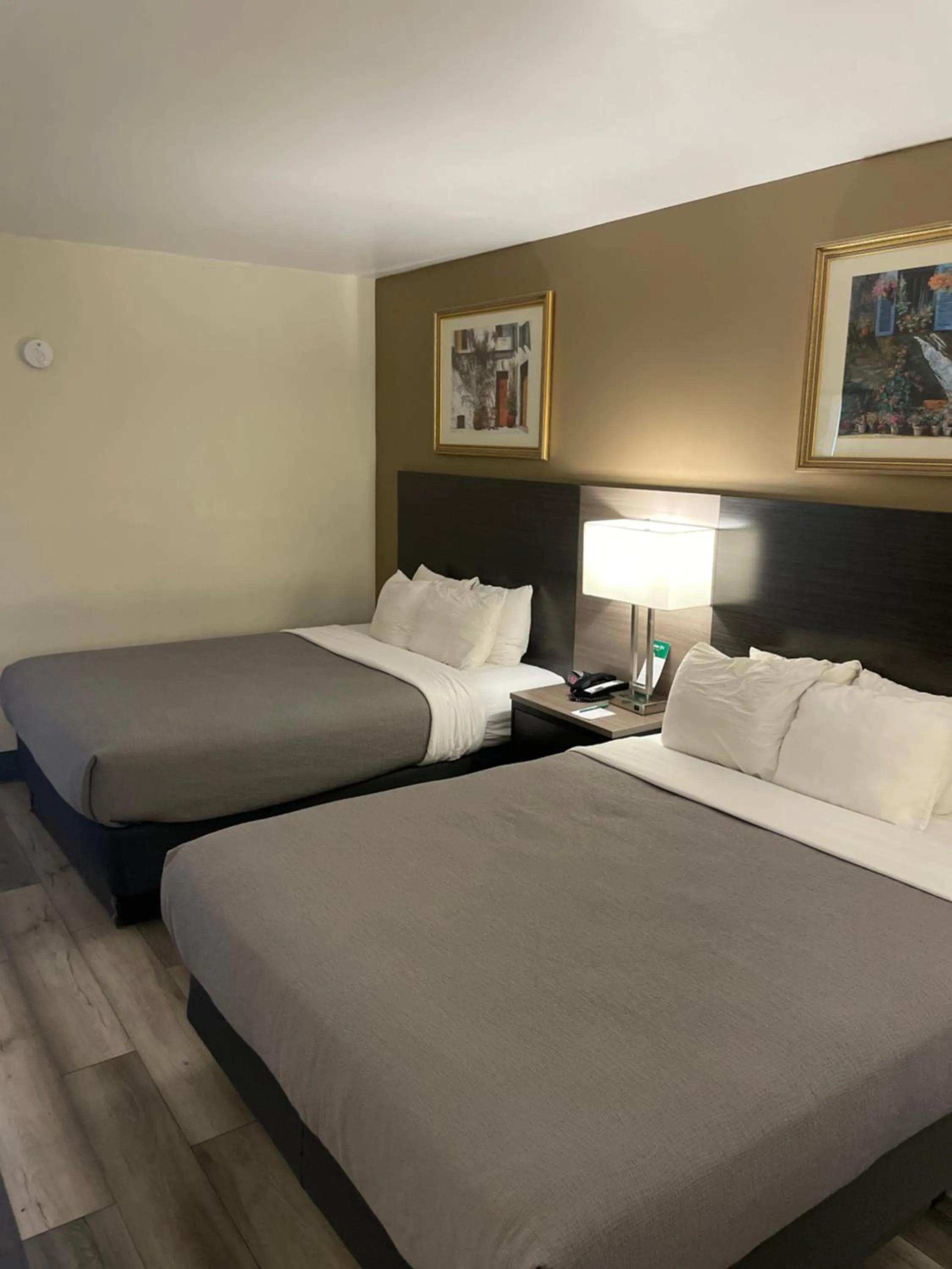 Bed in Quality Inn & Suites Goodyear - Phoenix West