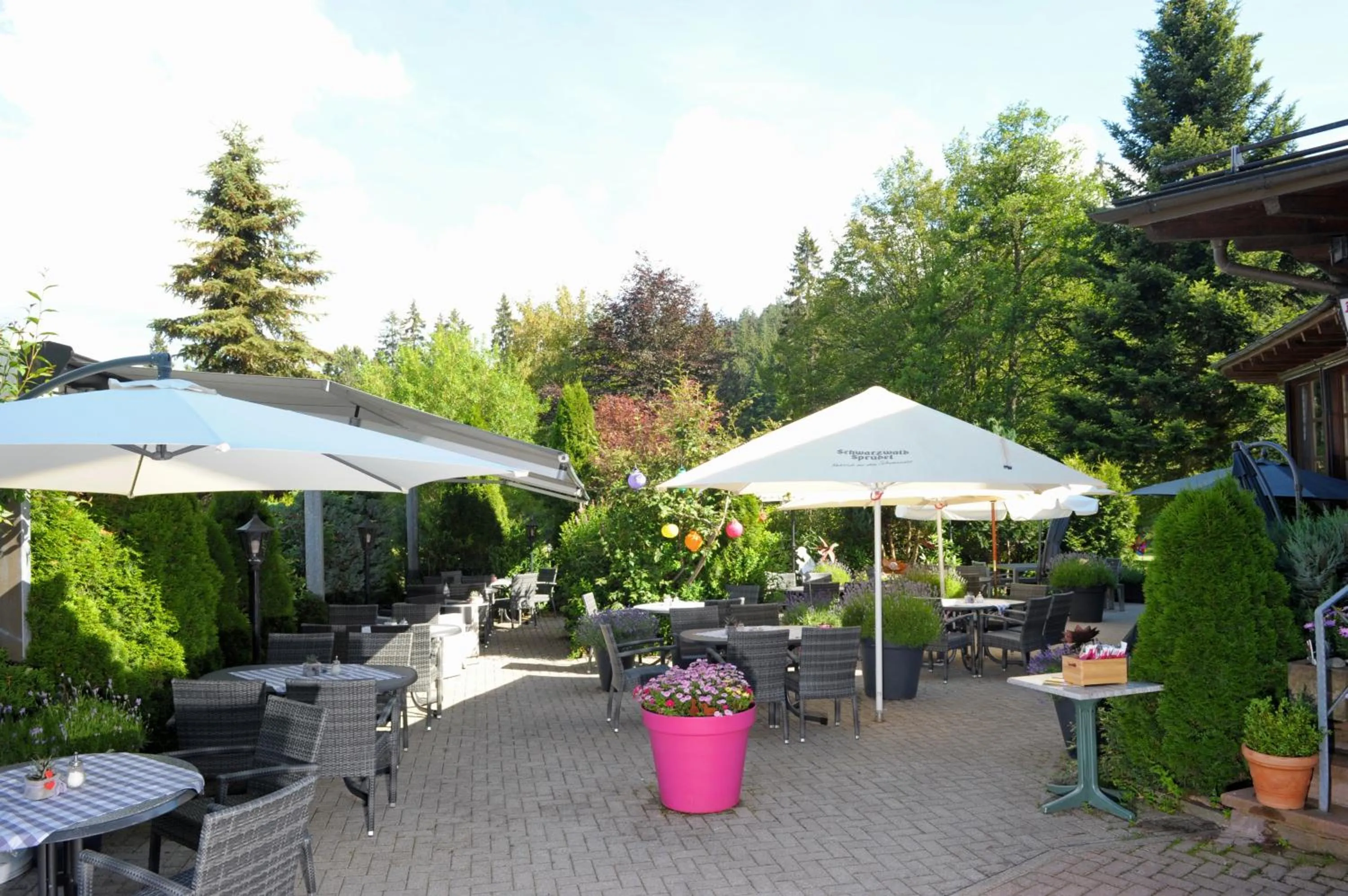 Garden in Hotel Sarbacher