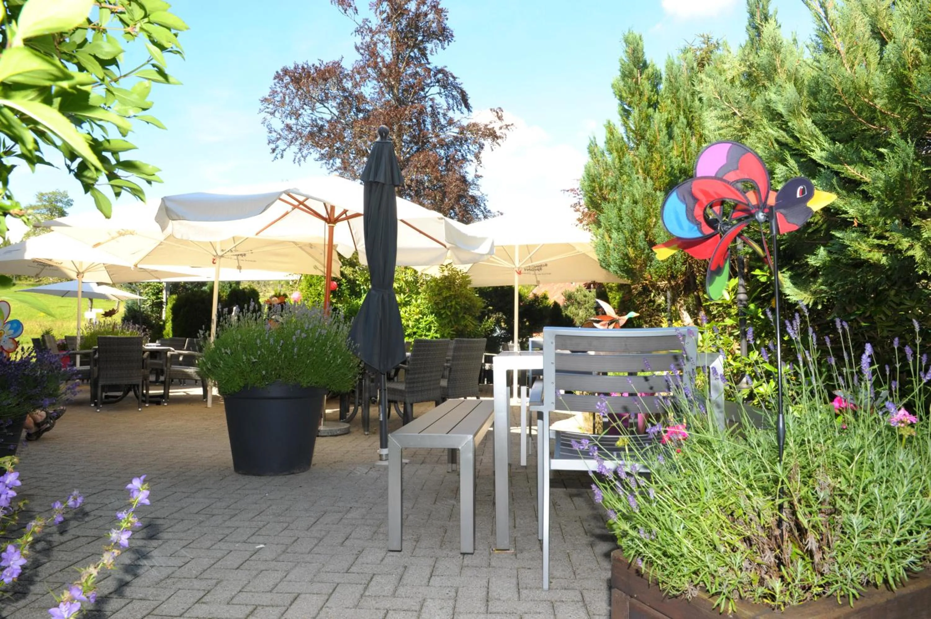 Garden in Hotel Sarbacher