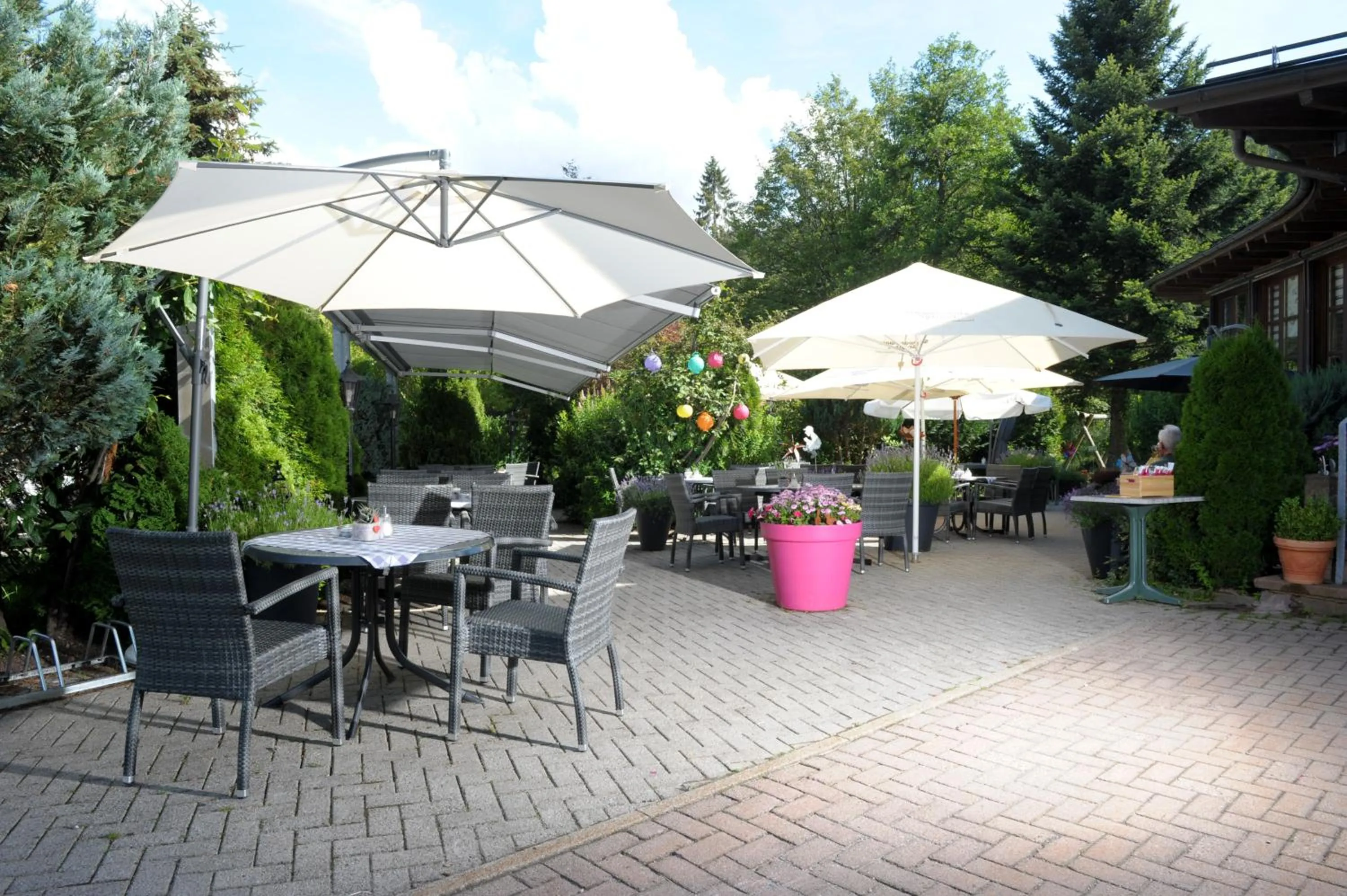 Garden in Hotel Sarbacher