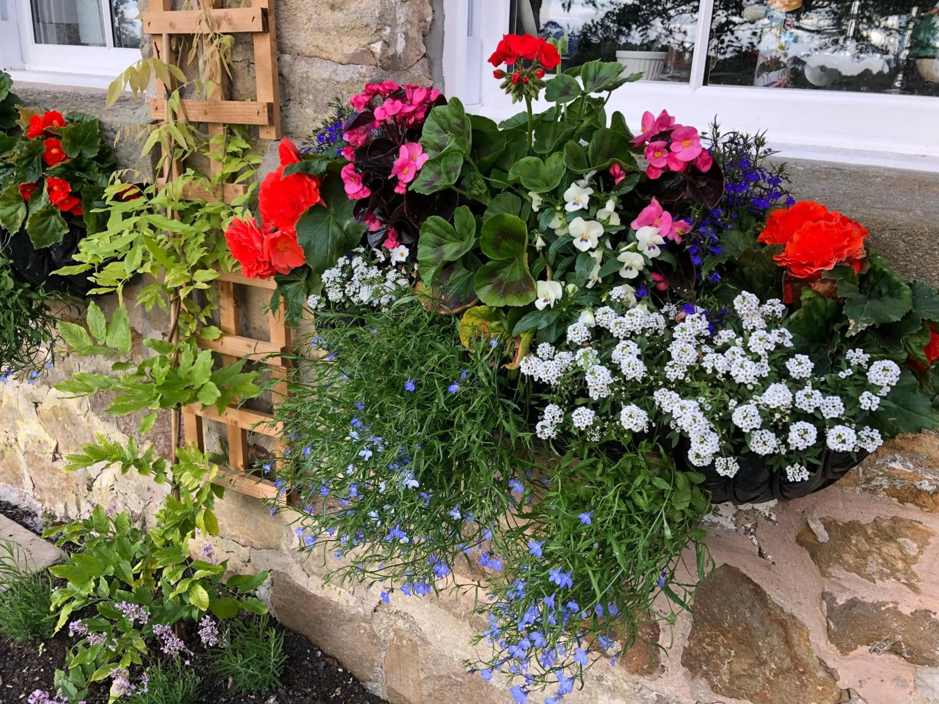 Garden in Picket Post House Bed & Breakfast