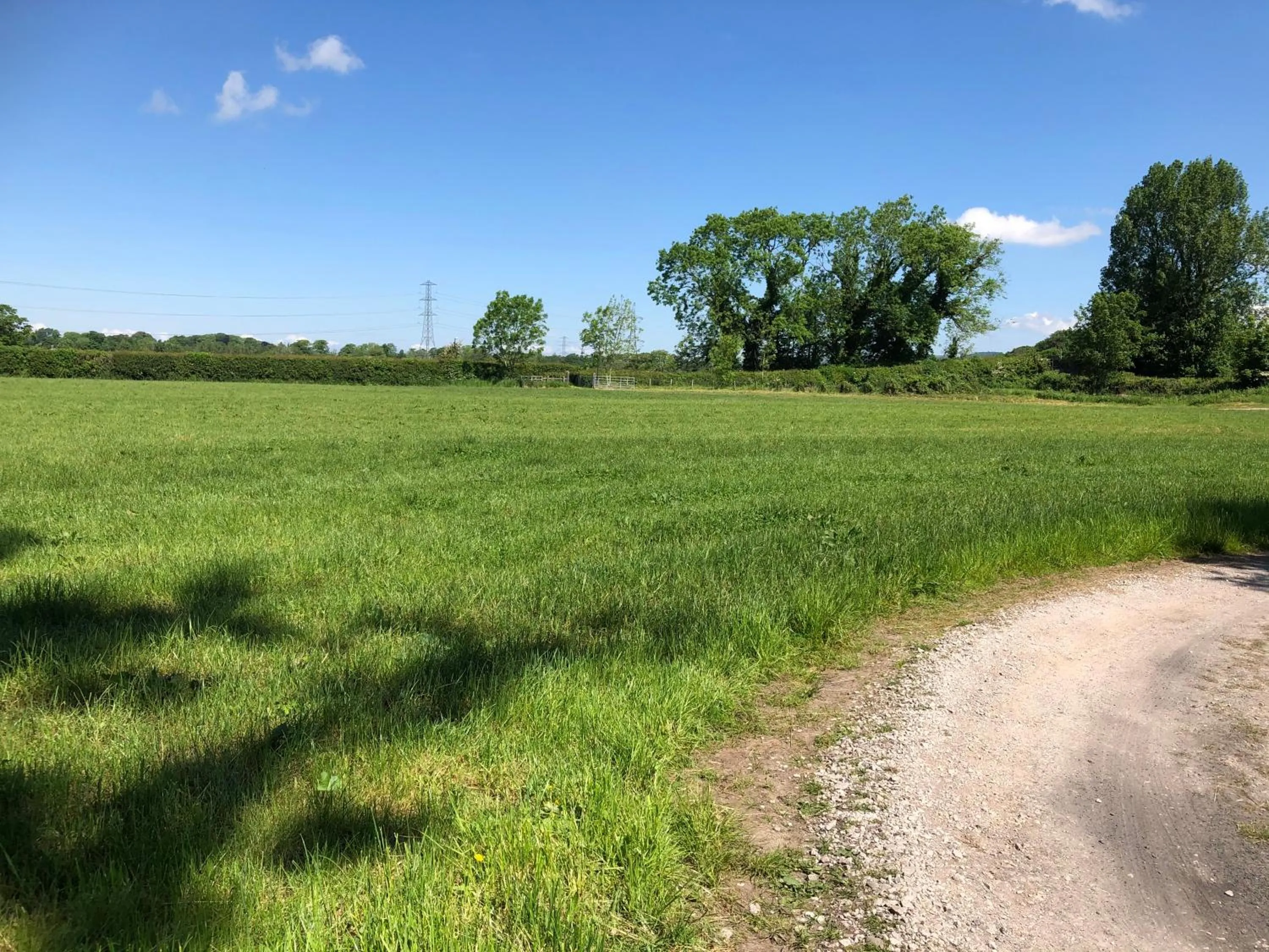 Natural landscape in Picket Post House Bed & Breakfast