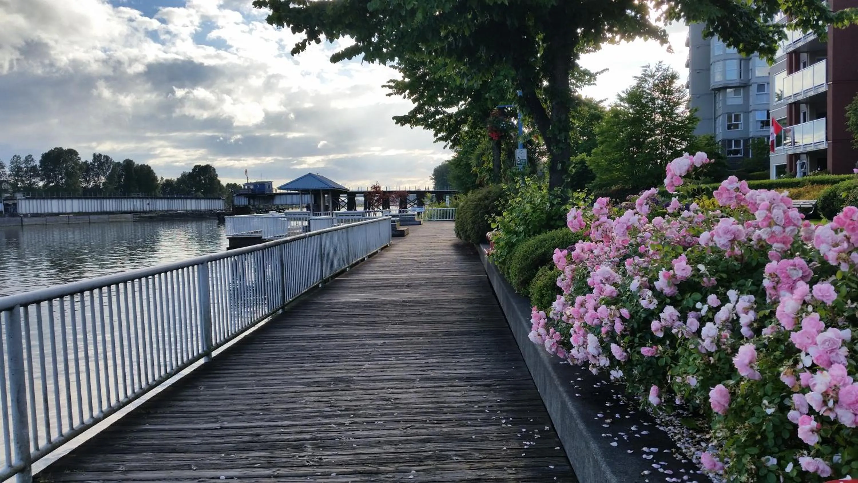 Natural landscape in The Met Hotel