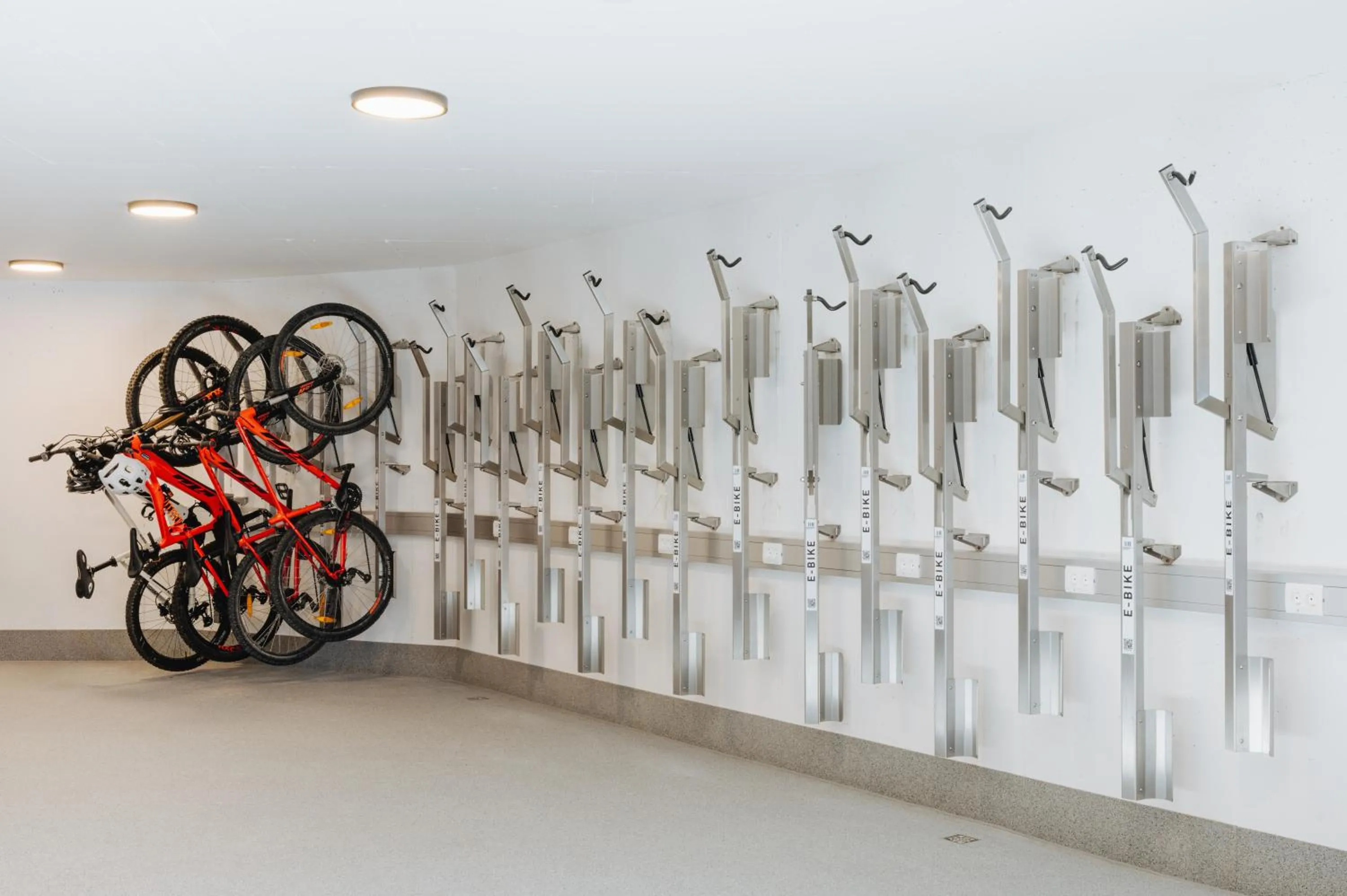 Cycling in Torghele's Wald & Fluh