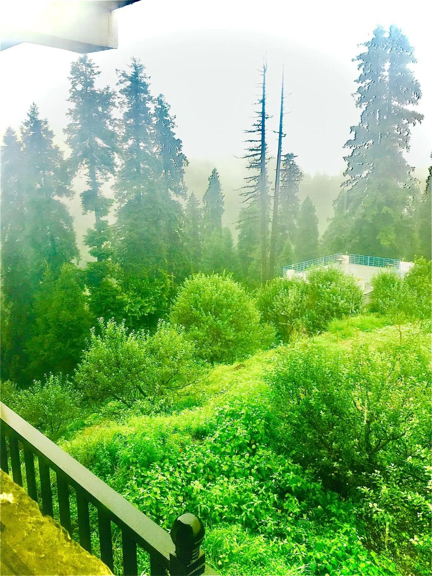 Garden view in LA Riqueza Kanatal - Mountain View Rooms - Best Location - Amazing Food - Close to Jungle Safari & Adventure Activities