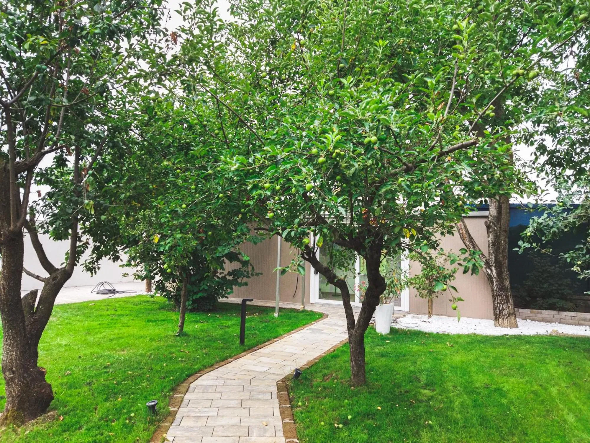 Property building in Ca' Ross