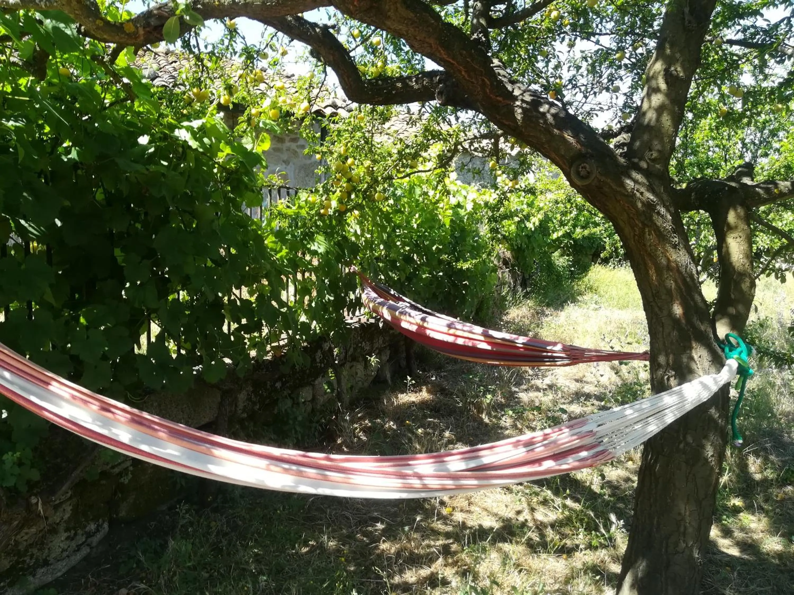 Garden in Solar dos Carvalhos