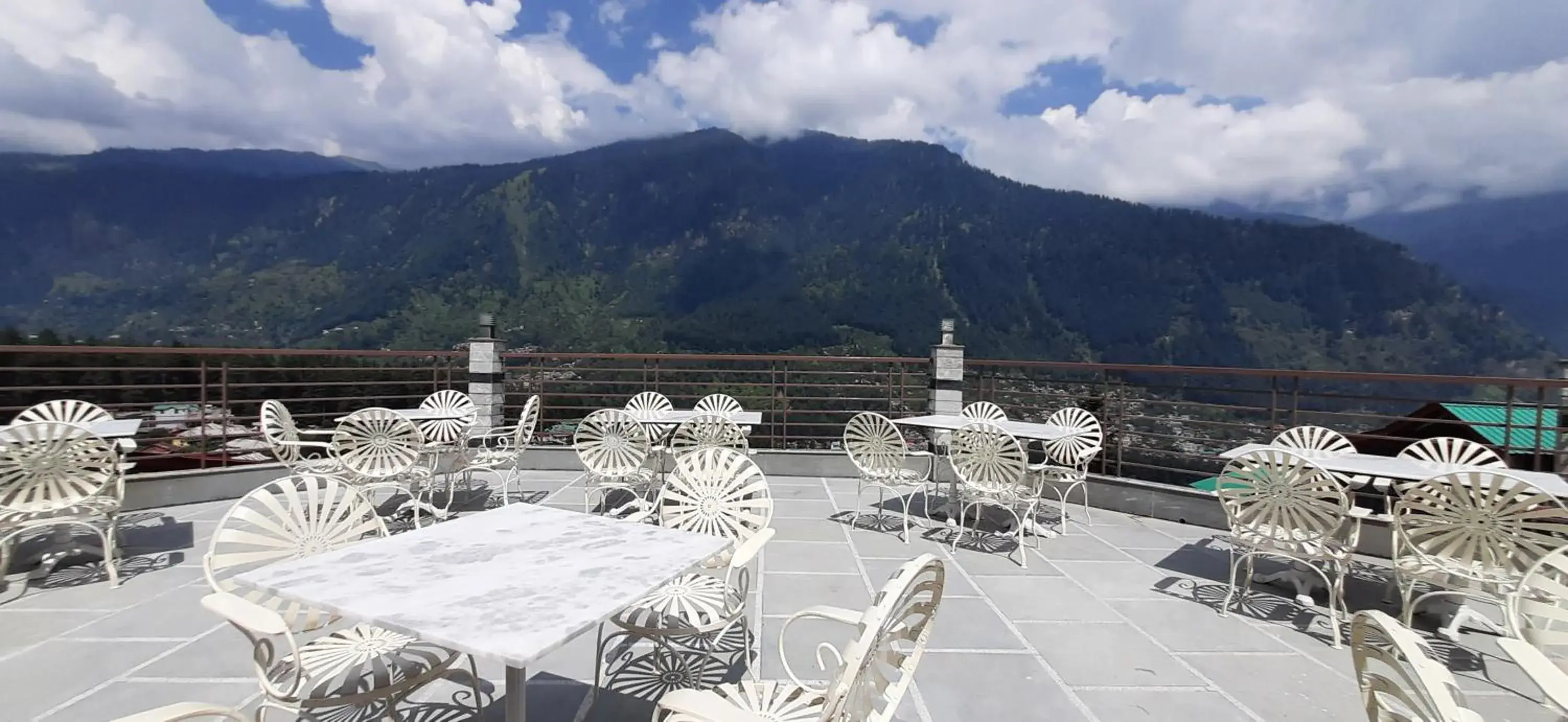 Mastiff Xanadu Mastiff Xanadu