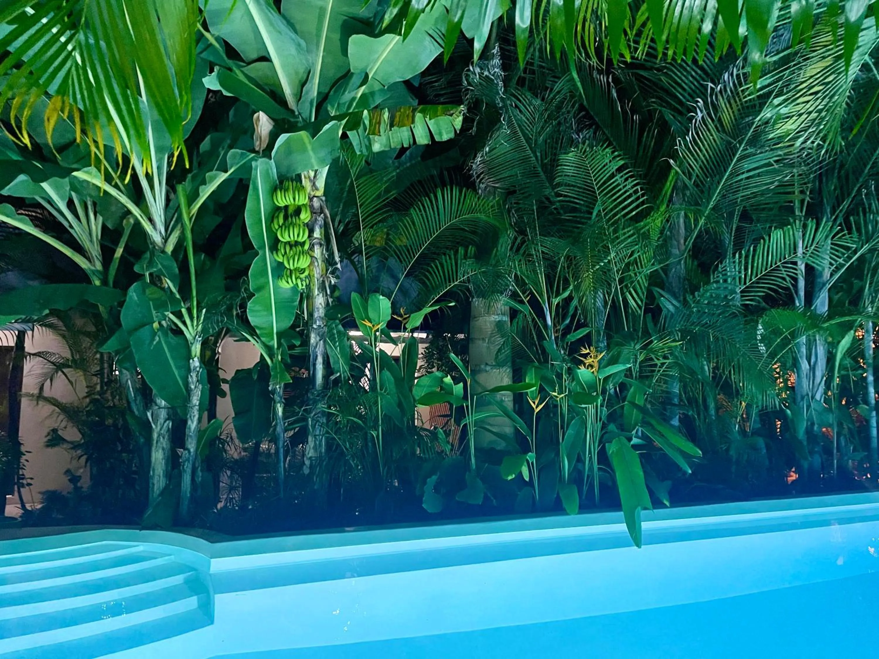 Natural landscape in Gaia Villas