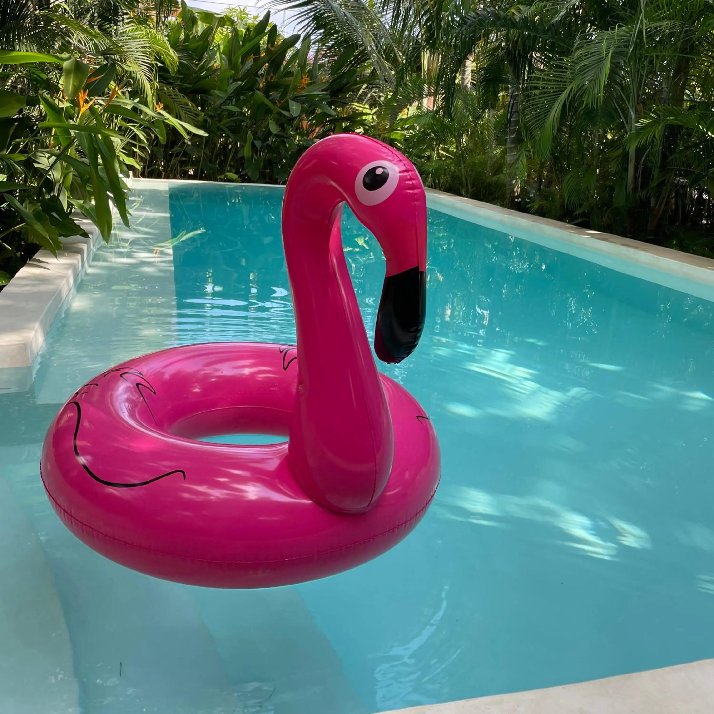 Swimming pool in Gaia Villas