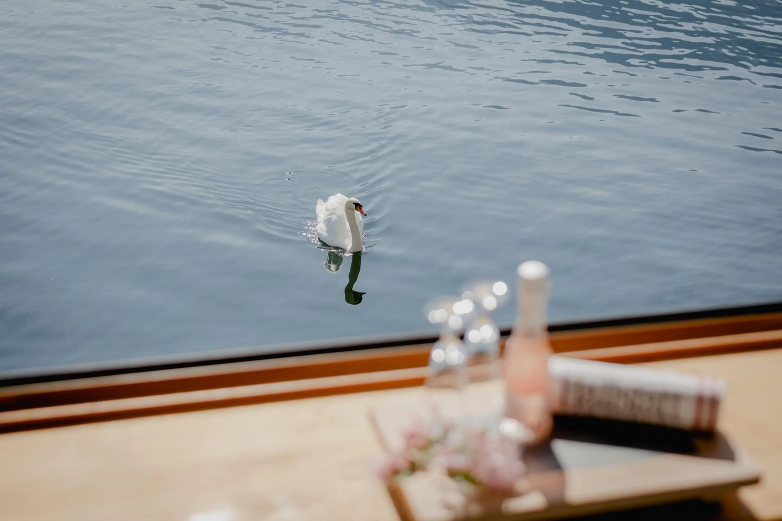 Animals in Polreich Bed&Breakfast