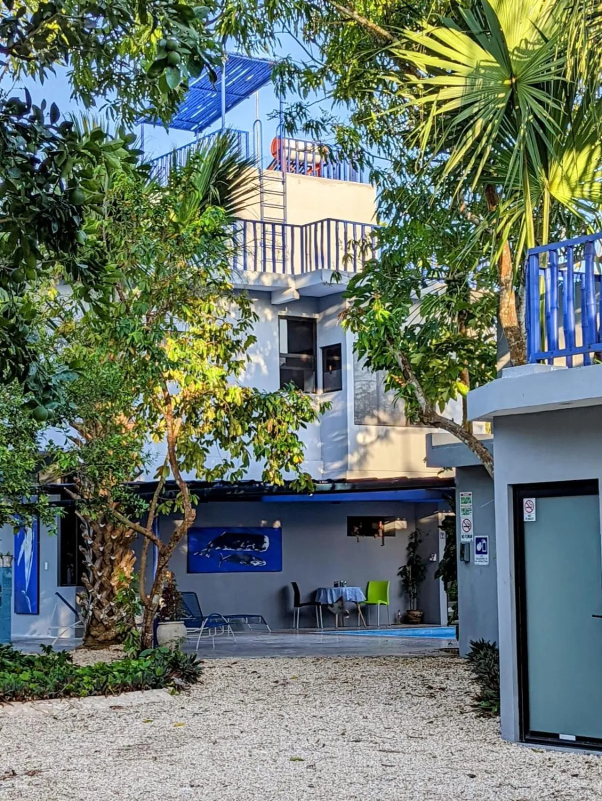 Property building in The Blue Eco Lodge