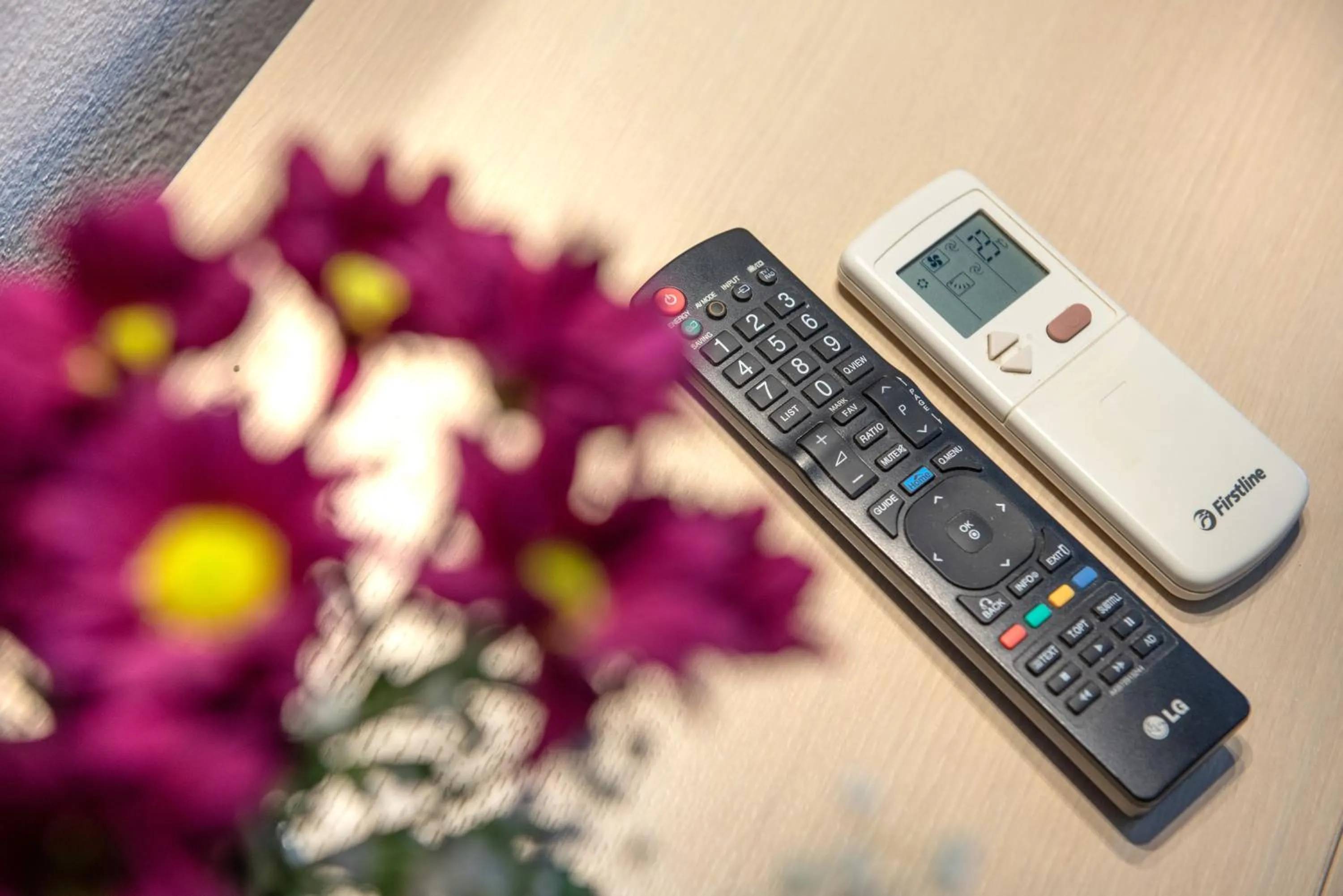 Area and facilities in Christof Studios