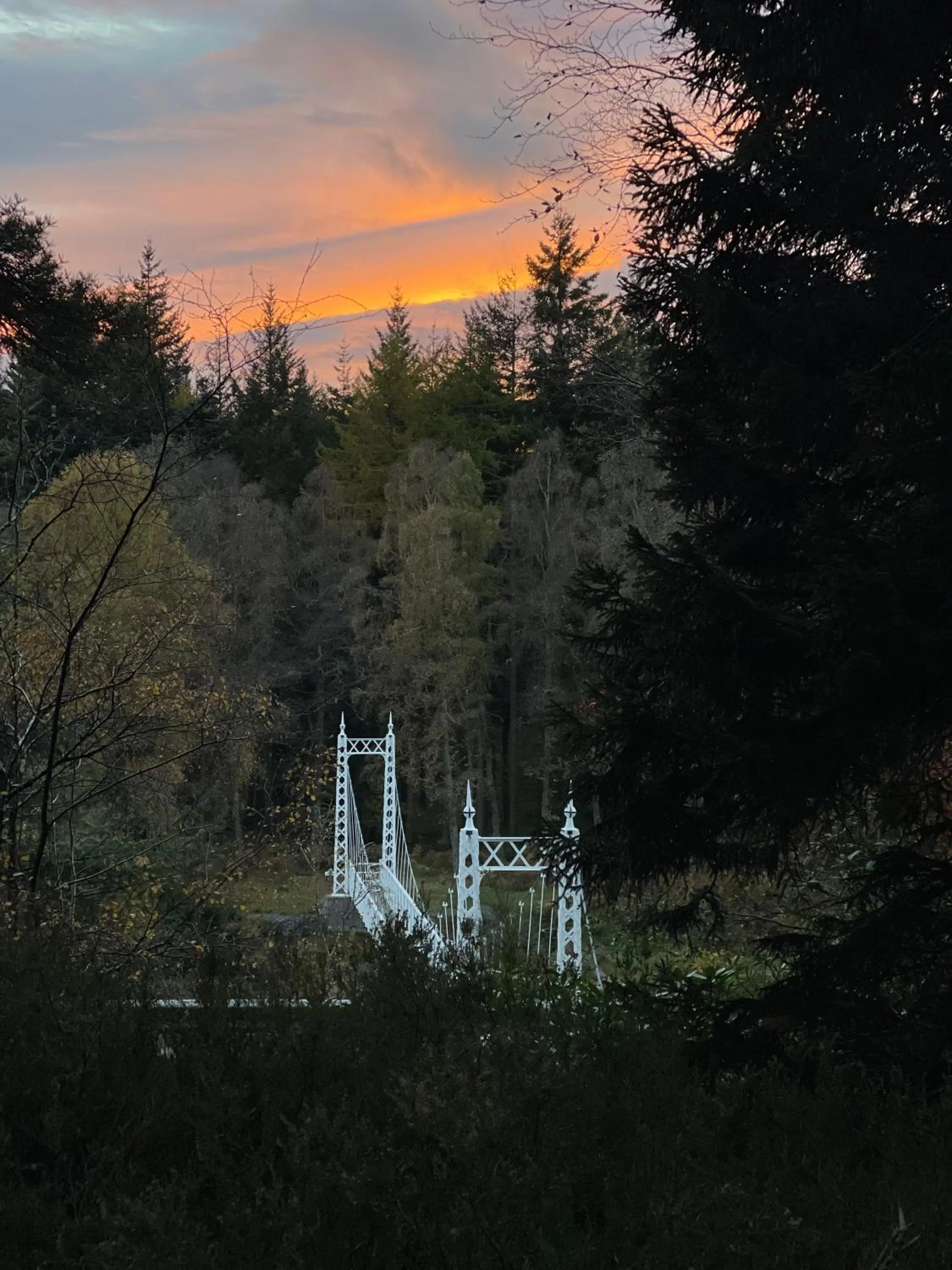 Natural landscape in Cambus O' May Traditional Highland Hotel