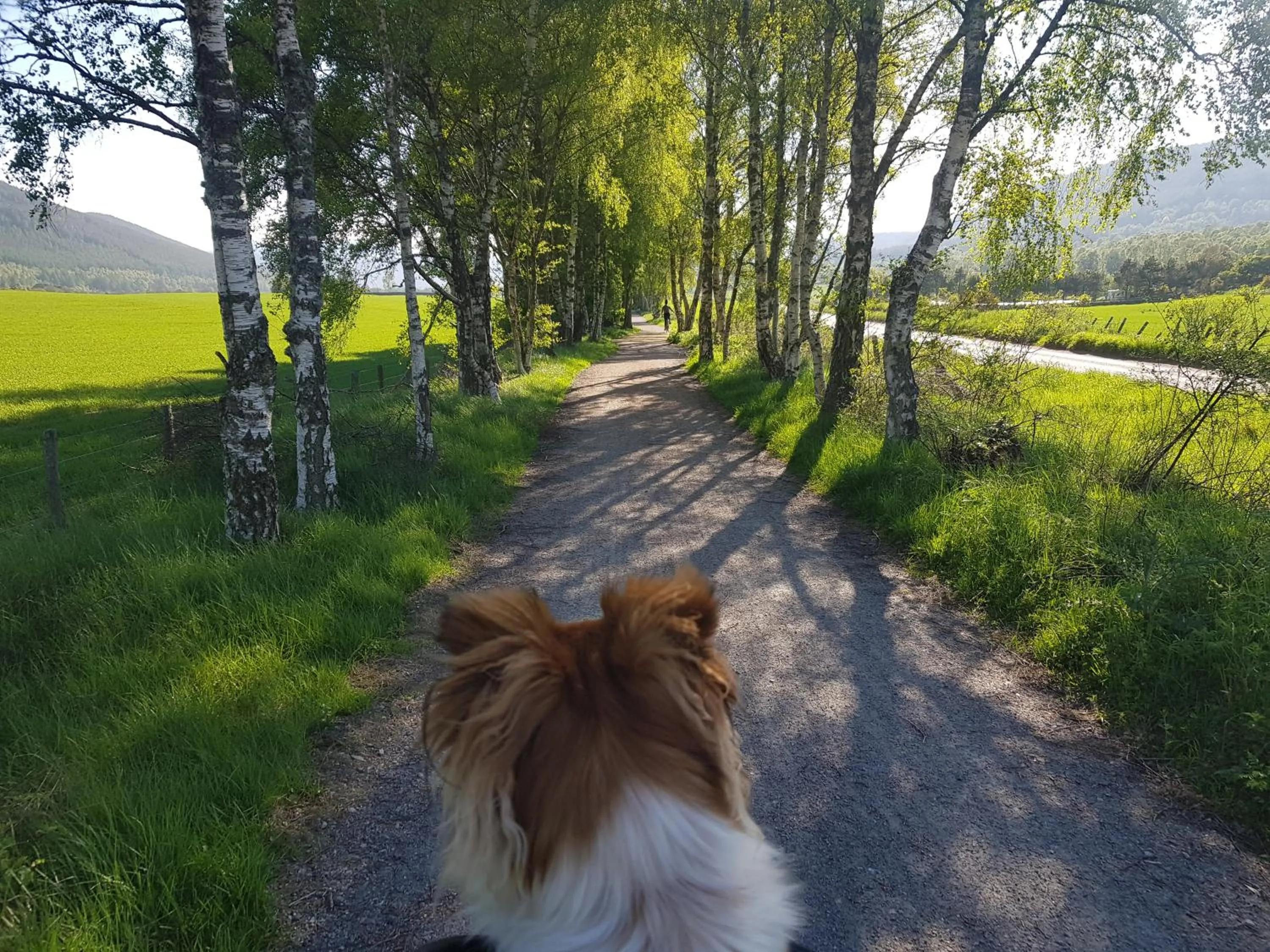 Hiking in Cambus O' May Traditional Highland Hotel