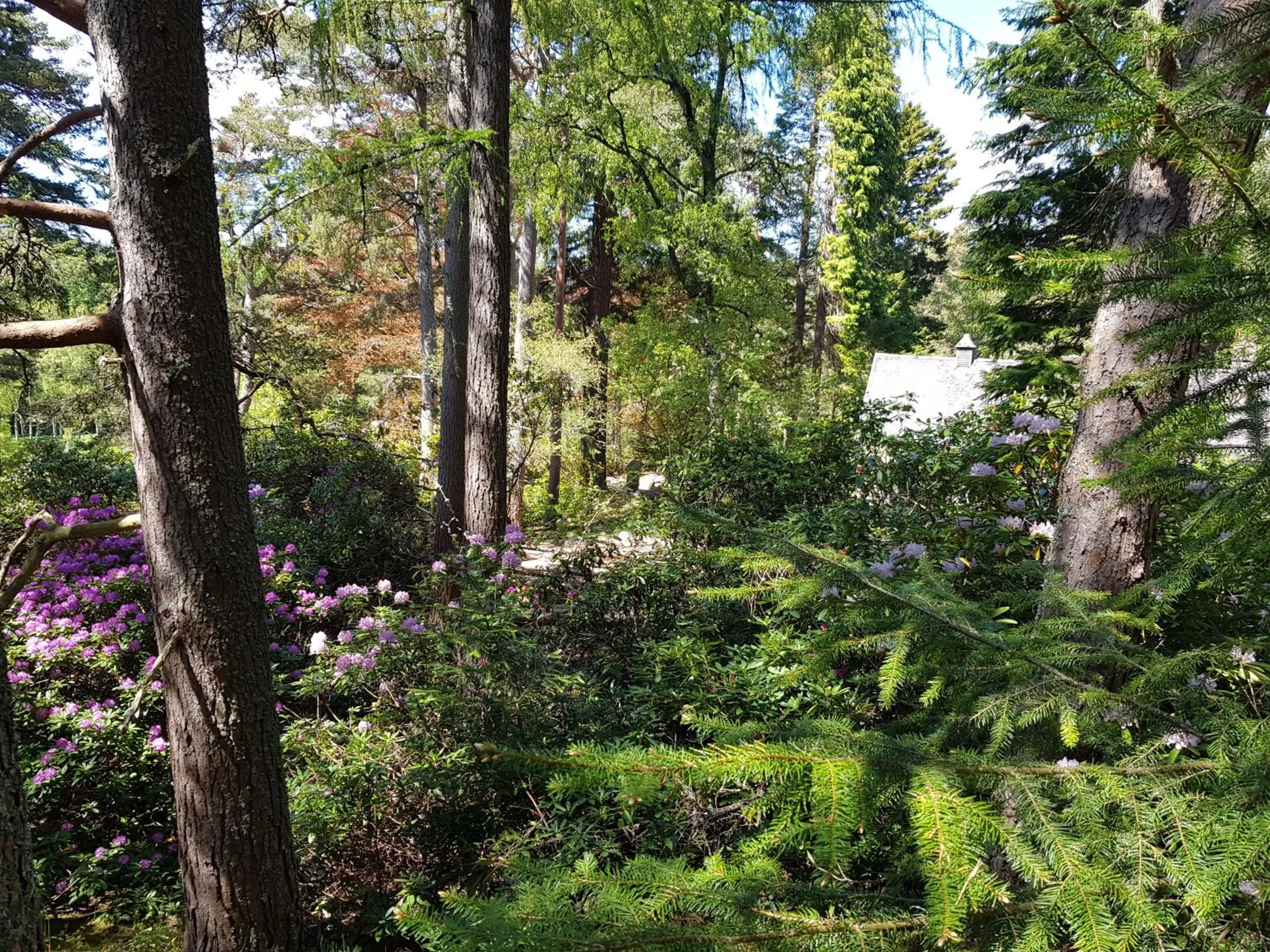 Natural landscape in Cambus O' May Traditional Highland Hotel