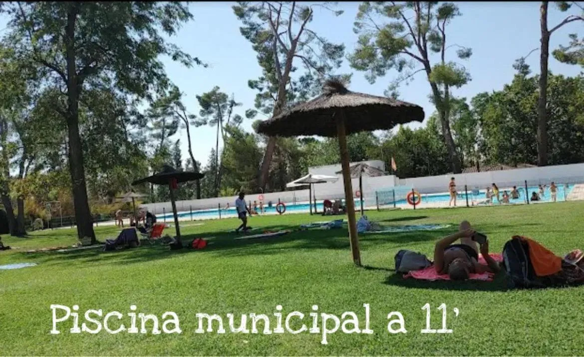 Swimming pool in ToledoRooms Palacios