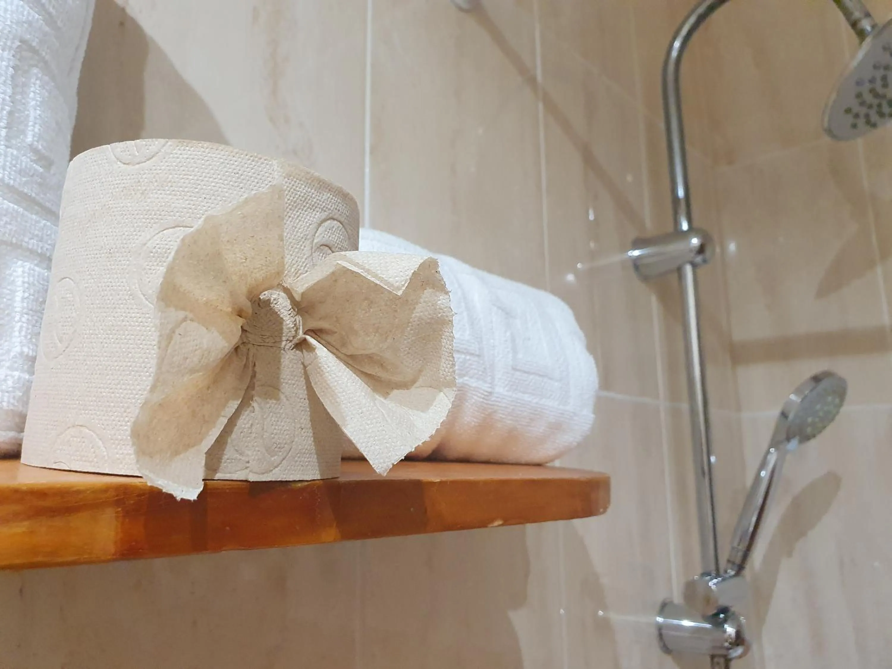 Bathroom in ToledoRooms Palacios