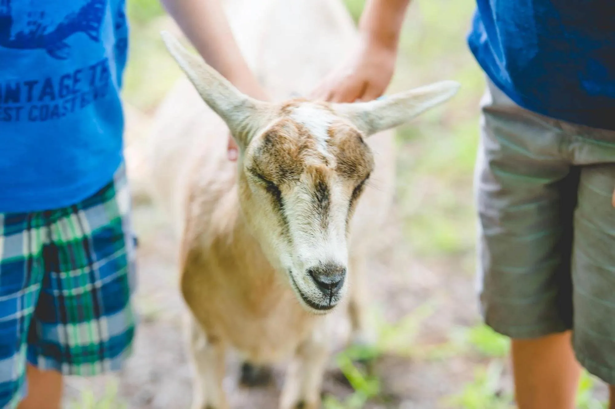 Other in Hotel Cheribourg, an Ascend Collection Hotel