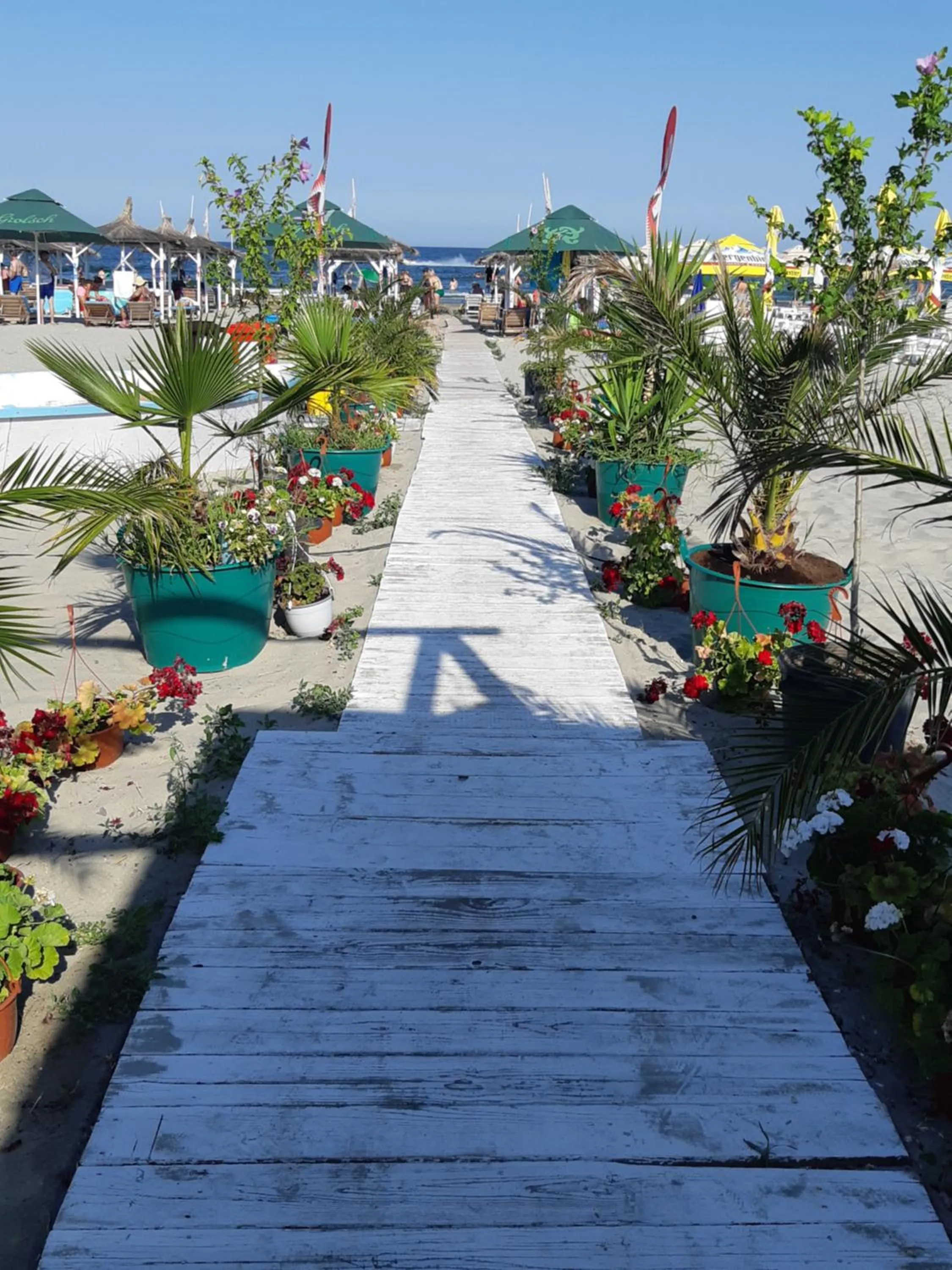 ONIX BLUE BEACH MAMAIA NORD