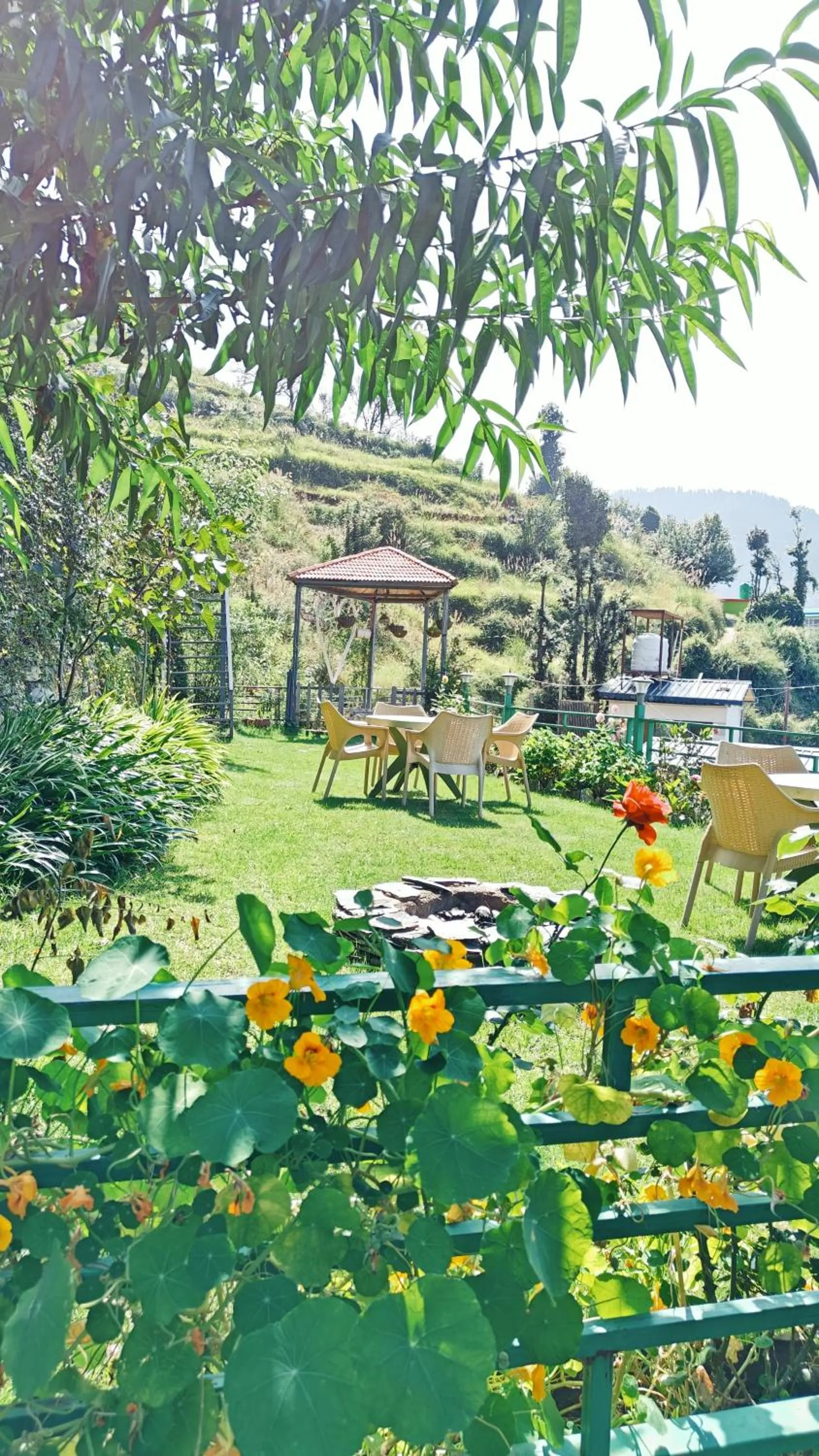 Garden view in Hotel Alpine Musk