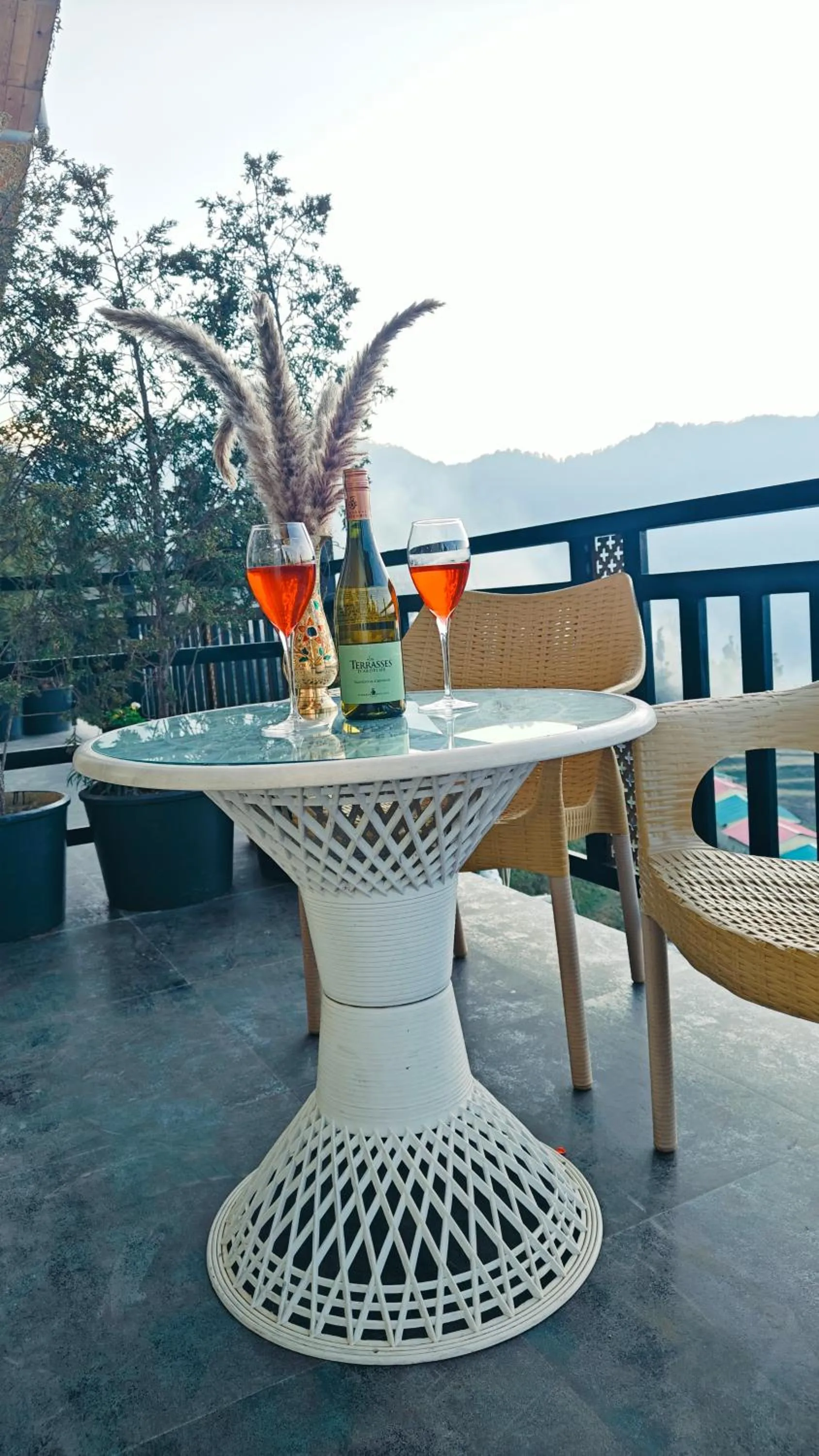 Balcony/Terrace in Hotel Alpine Musk