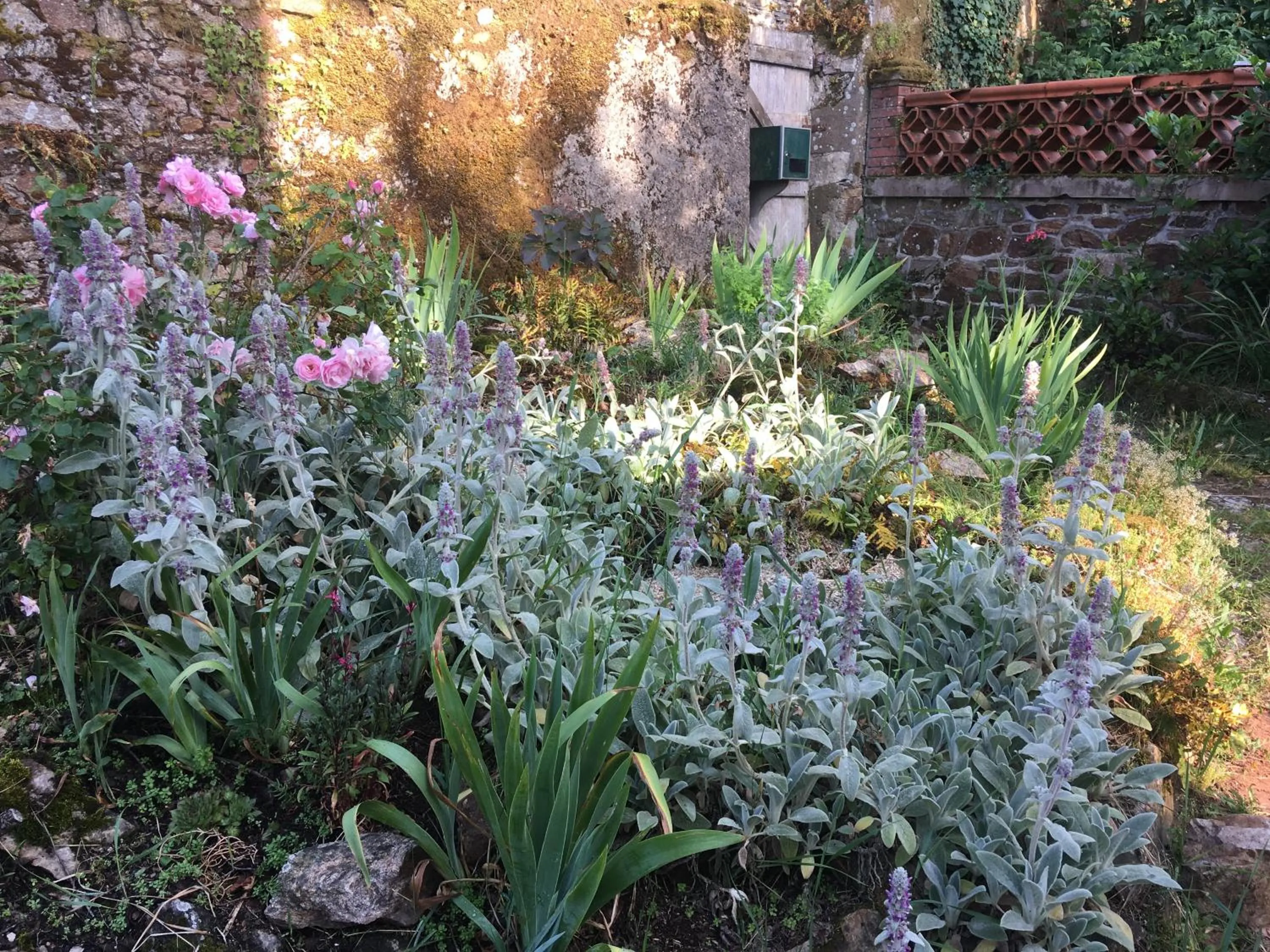 Spring in La Houache Chambres d'Hôtes
