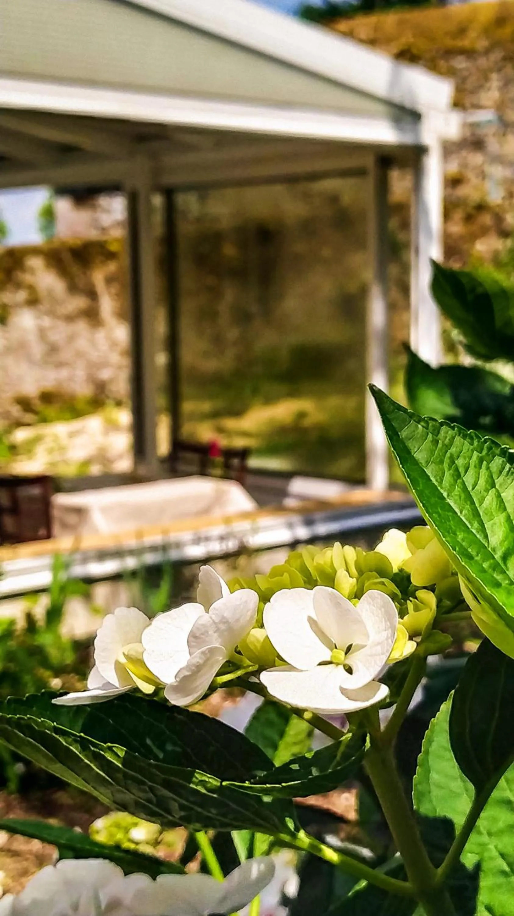 Spring in La Houache Chambres d'Hôtes