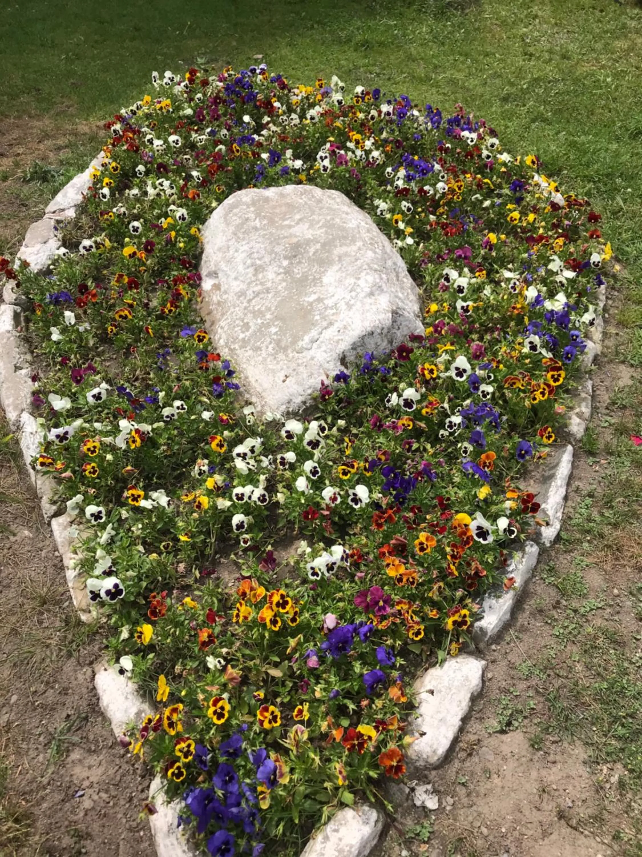 Garden in Parhena Cottages Bella Naran
