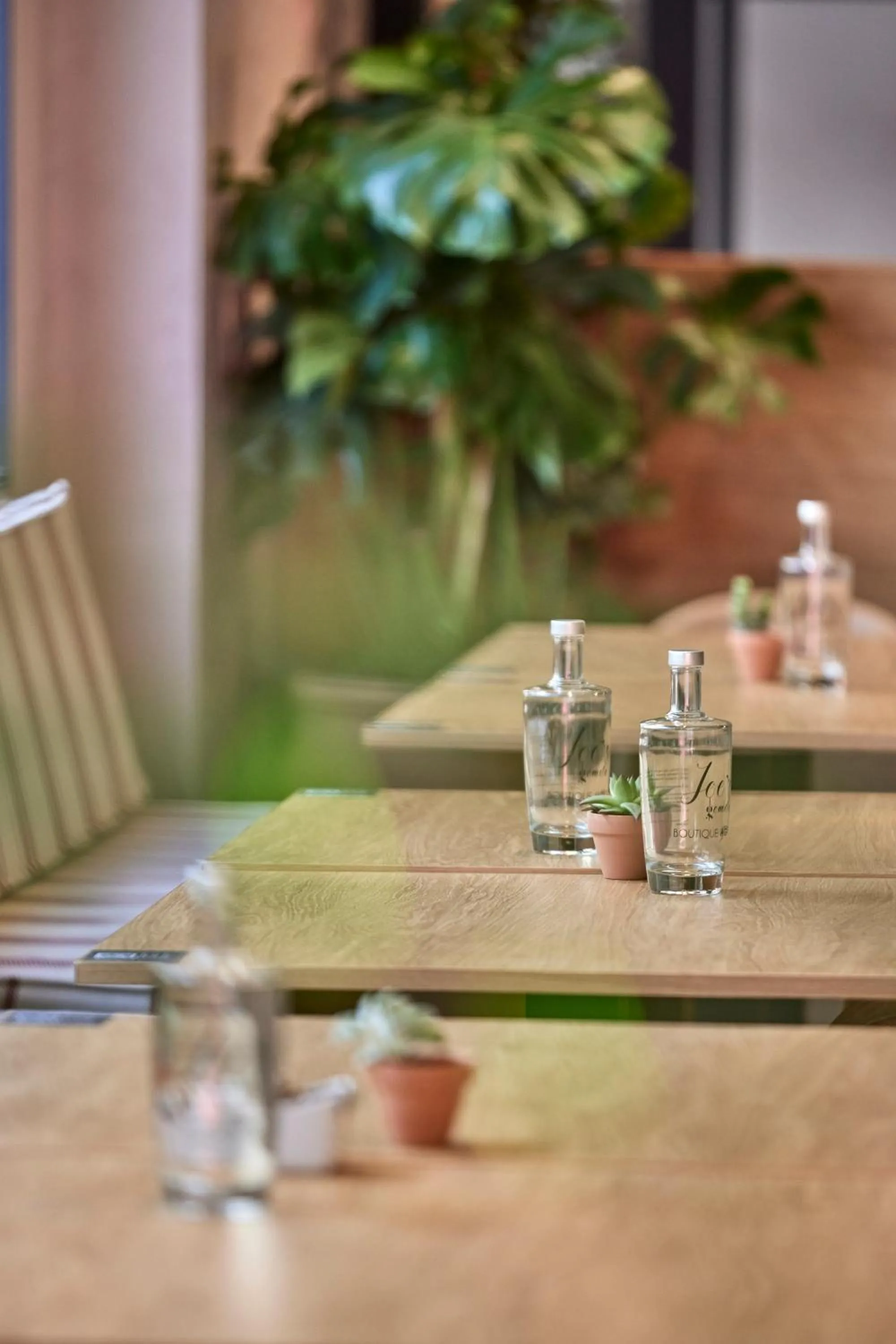 Restaurant/places to eat in JOE'S GOMILA BOUTIQUE HOTEL