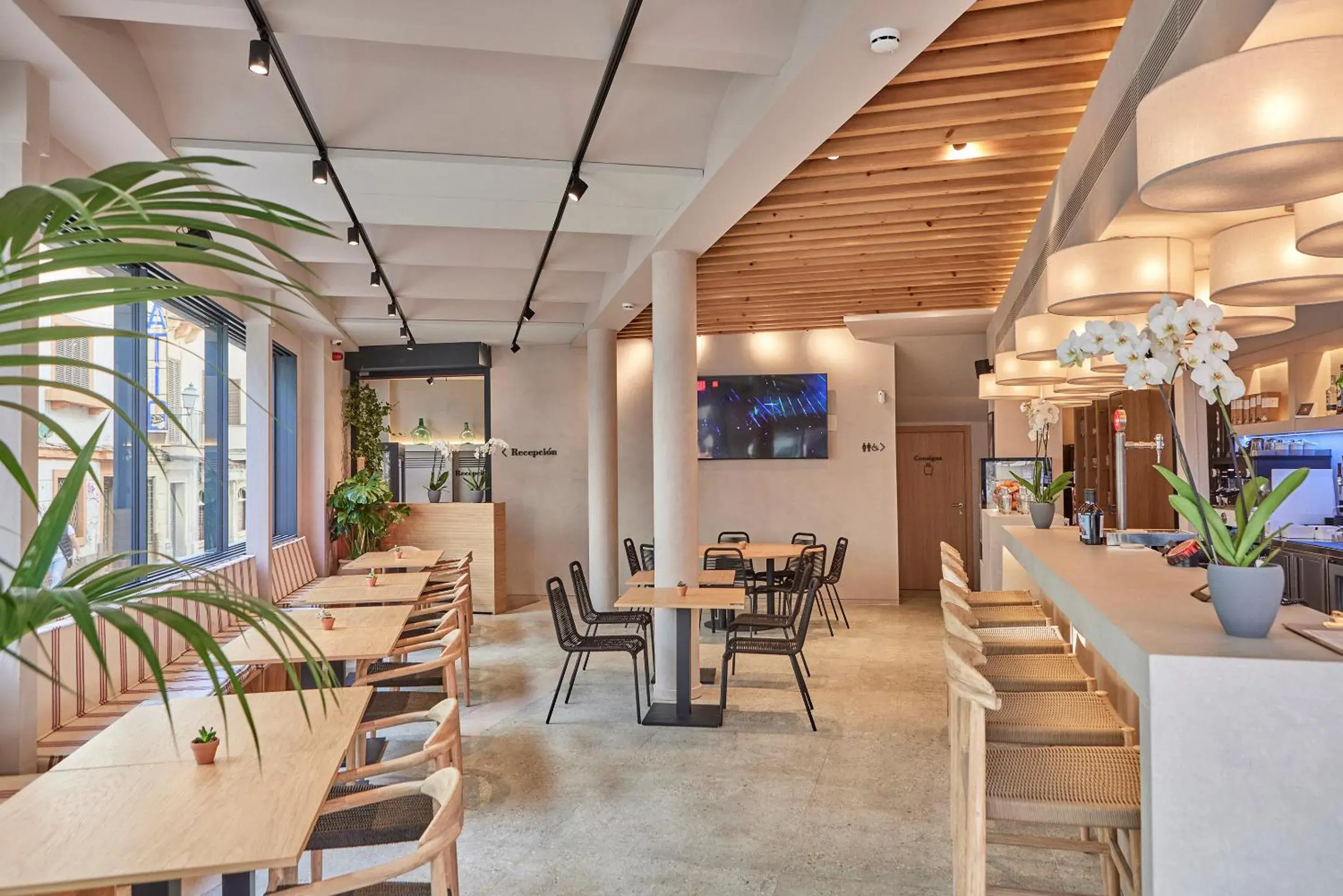 Restaurant/places to eat in JOE'S GOMILA BOUTIQUE HOTEL Restaurant/places to eat in JOE'S GOMILA BOUTIQUE HOTEL