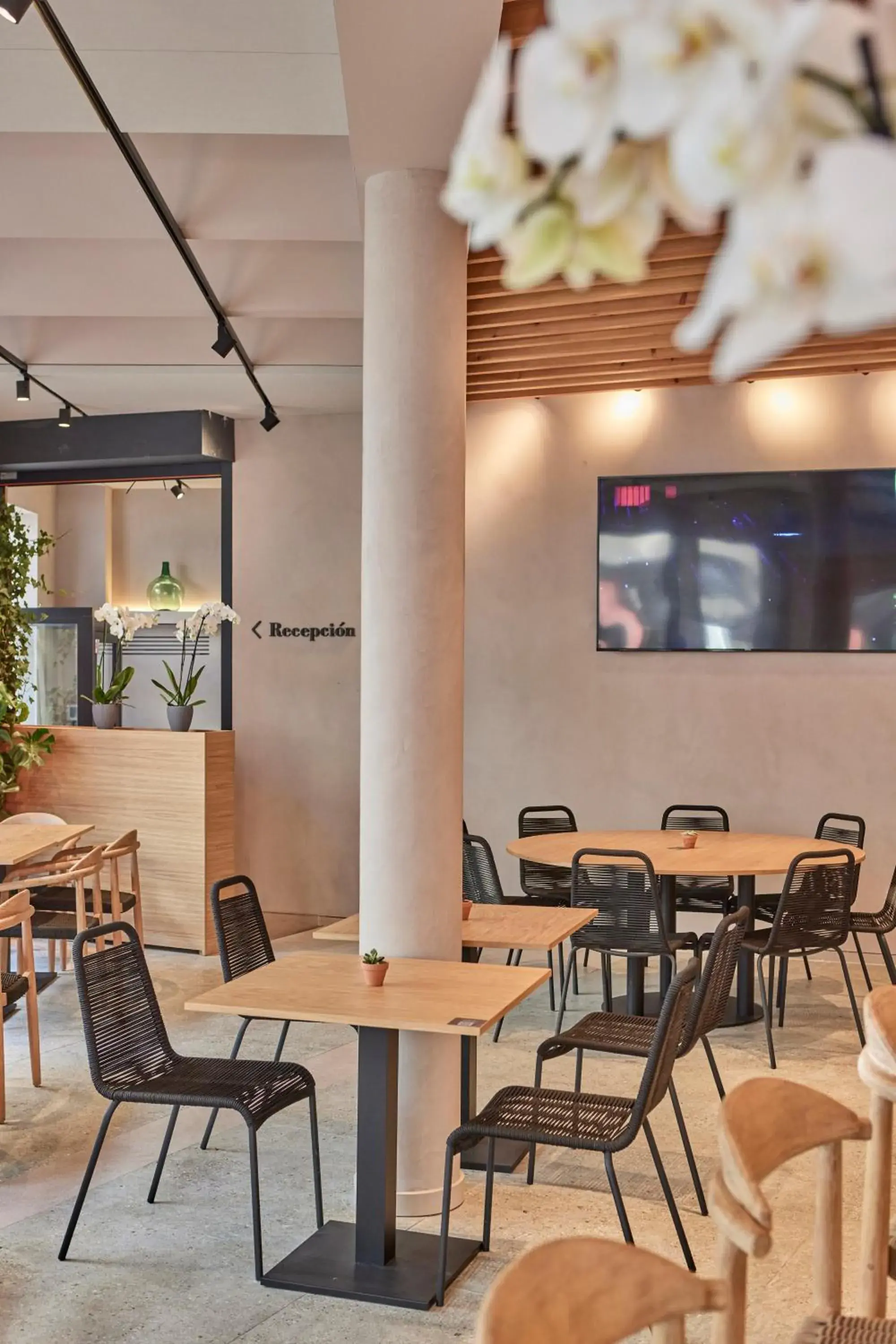 Restaurant/places to eat in JOE'S GOMILA BOUTIQUE HOTEL Restaurant/places to eat in JOE'S GOMILA BOUTIQUE HOTEL