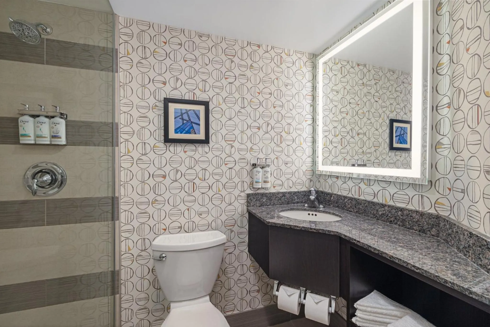 Bathroom in Holiday Inn Toronto Downtown Centre by IHG