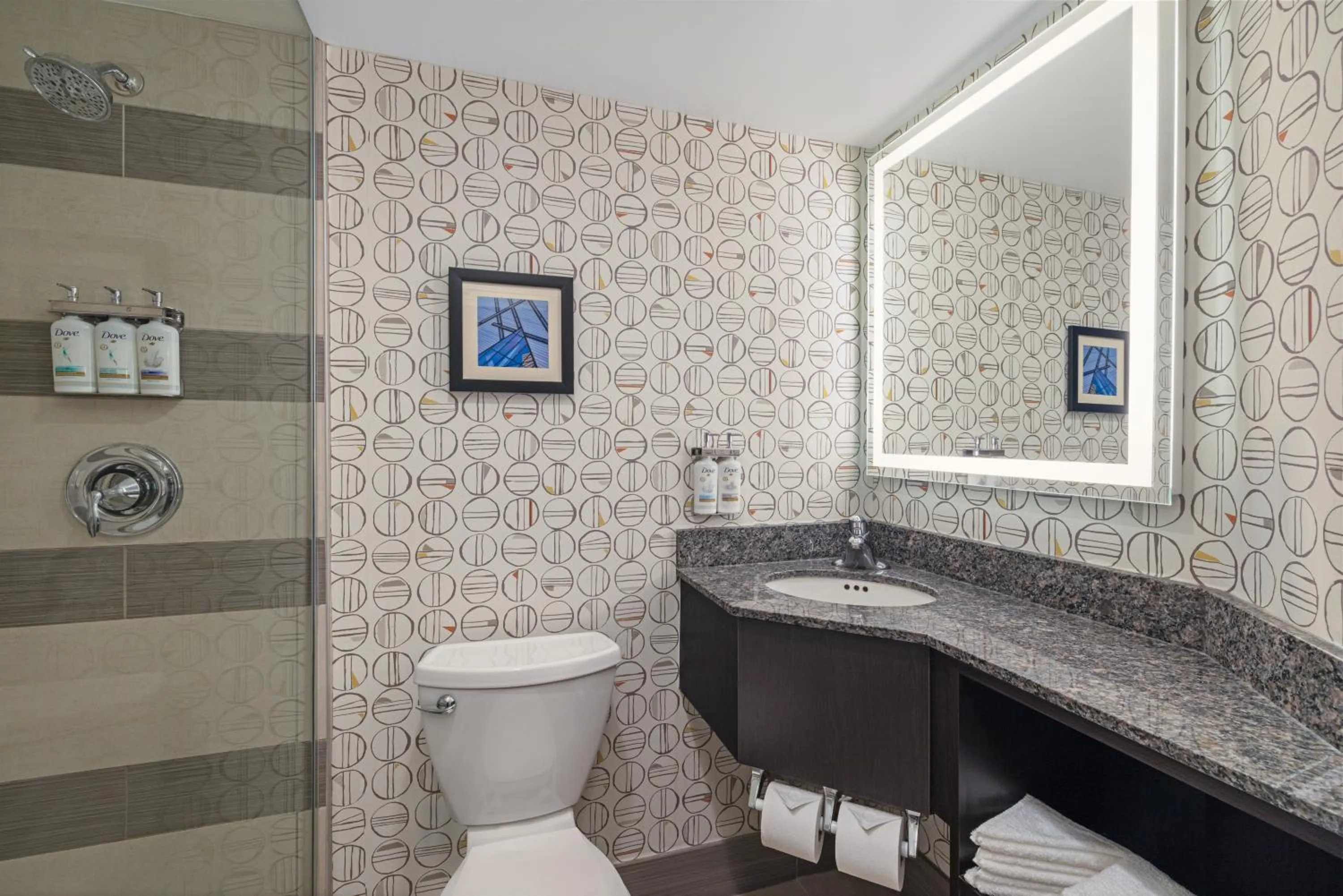 Bathroom in Holiday Inn Toronto Downtown Centre by IHG