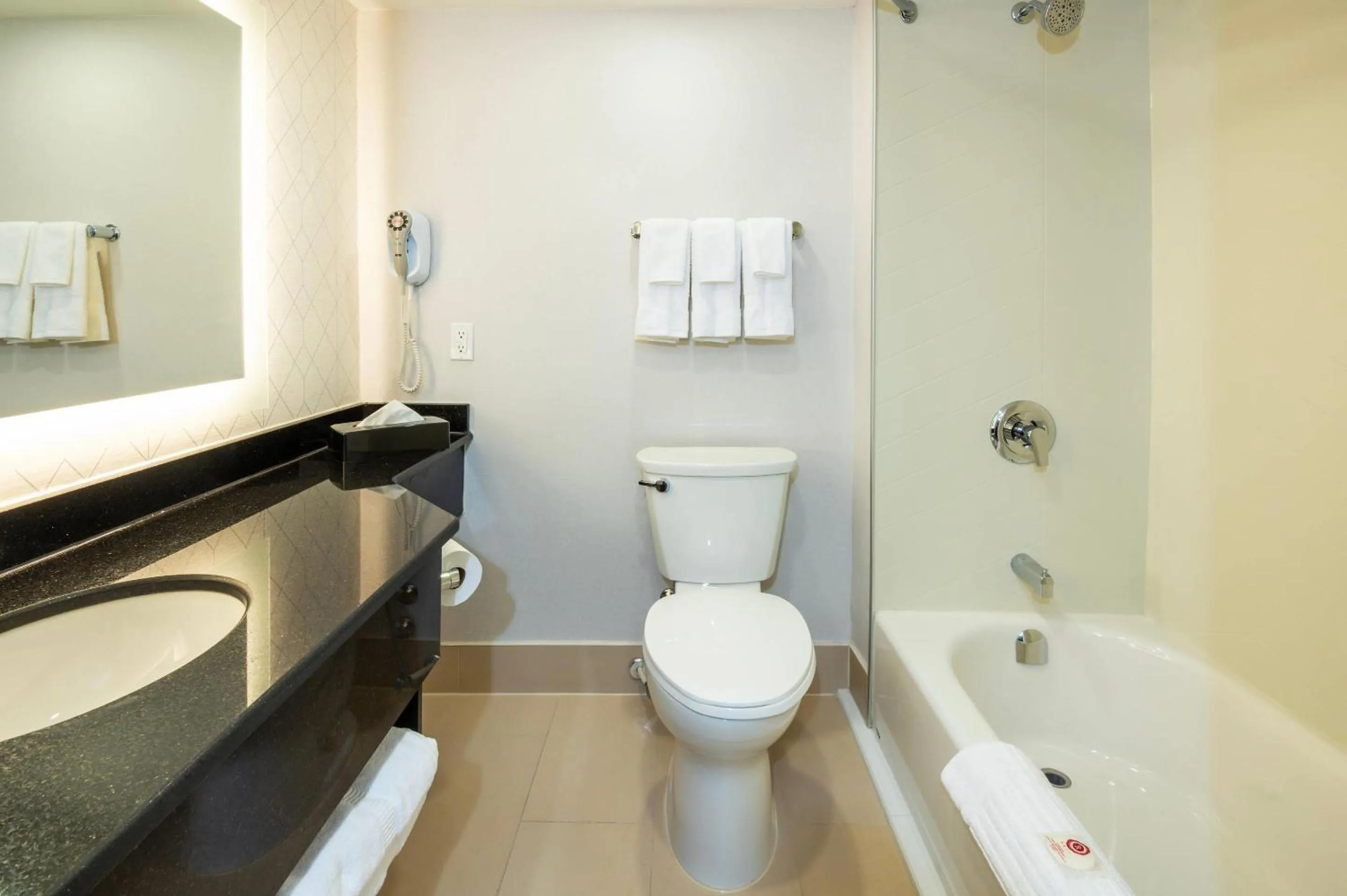 Bedroom in Comfort Inn & Conference Centre Toronto Airport