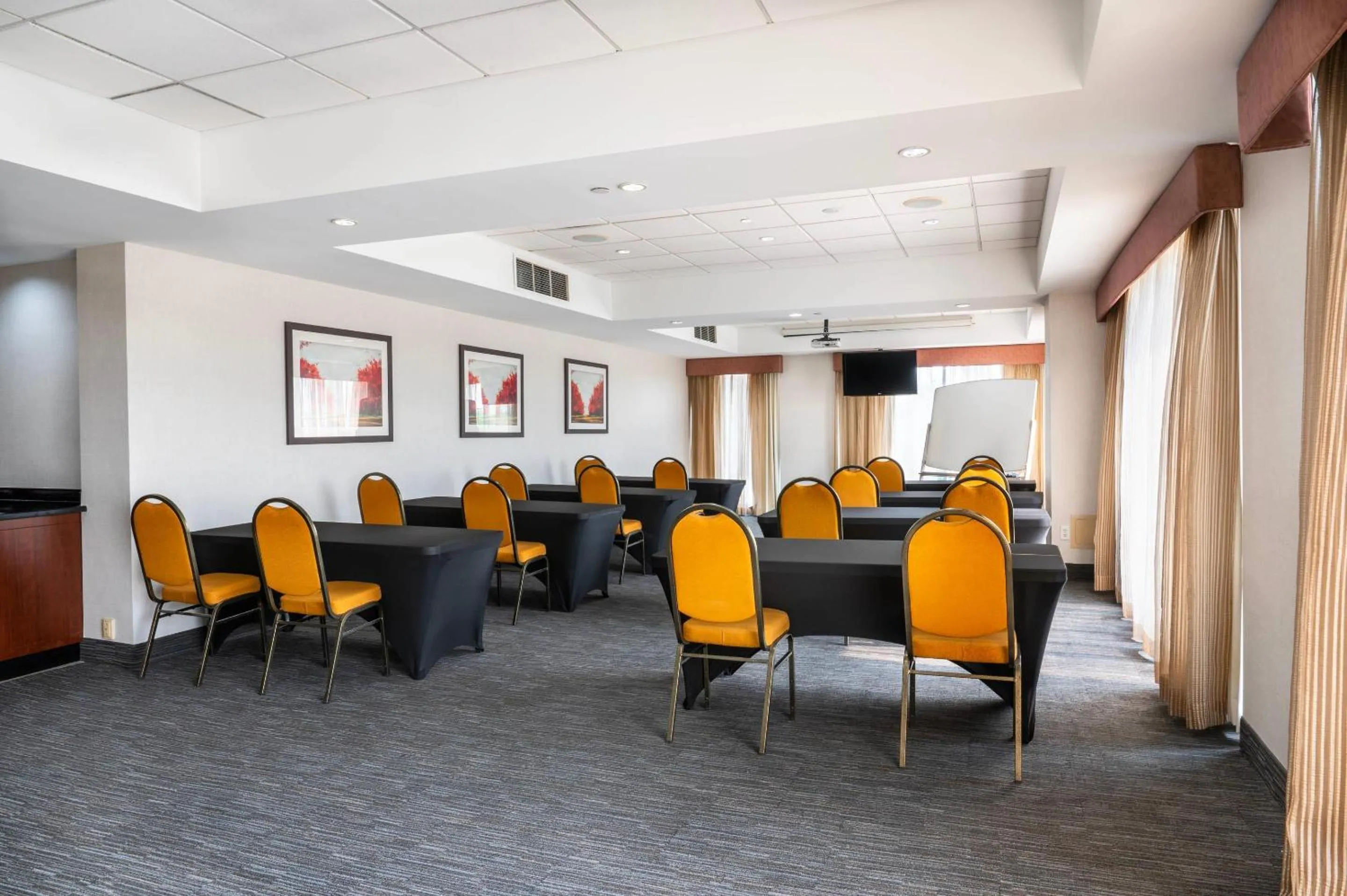 Meeting/conference room in Comfort Inn & Conference Centre Toronto Airport