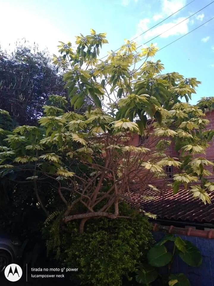 Pousada Oca Porã