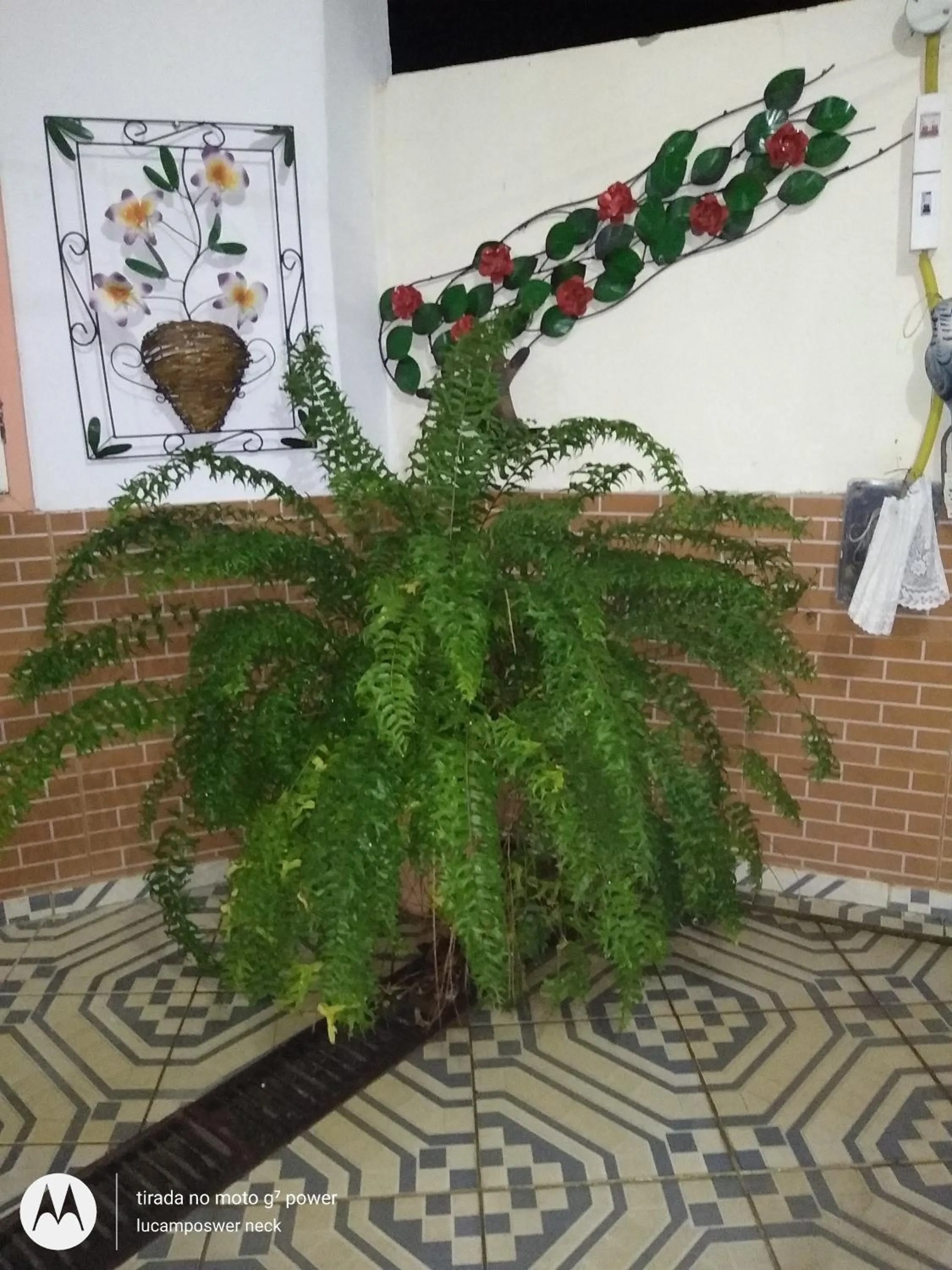 Pousada Oca Porã