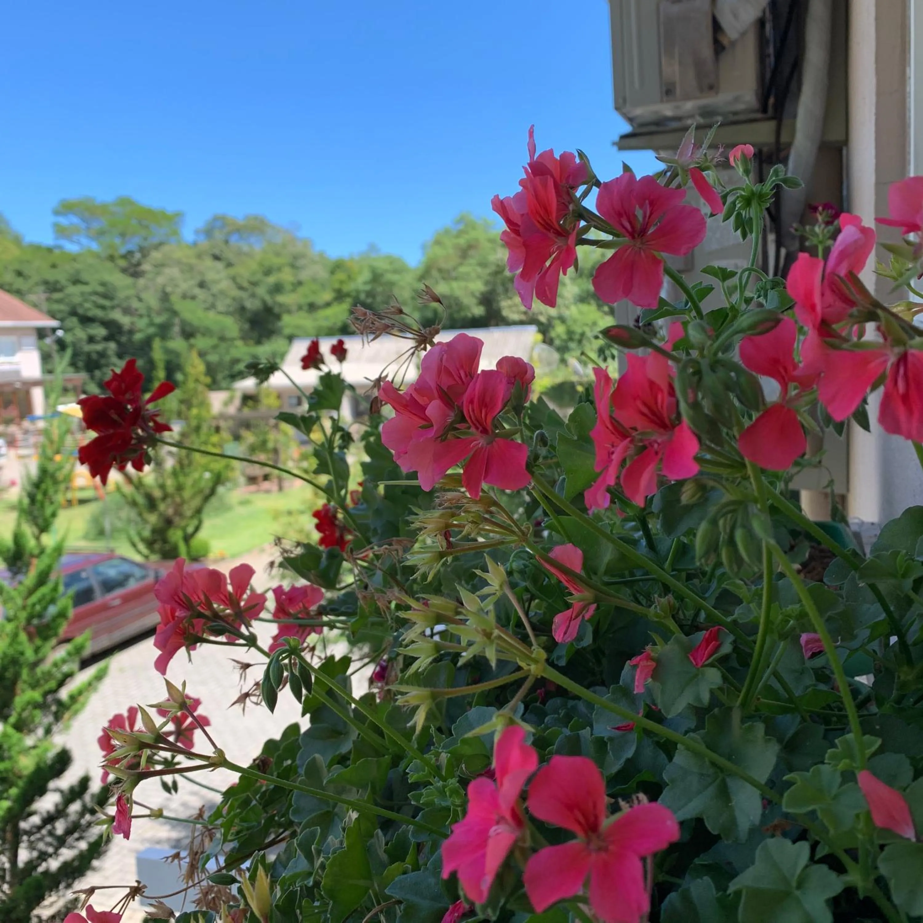 Garden view in Pousada Quinta do Vale